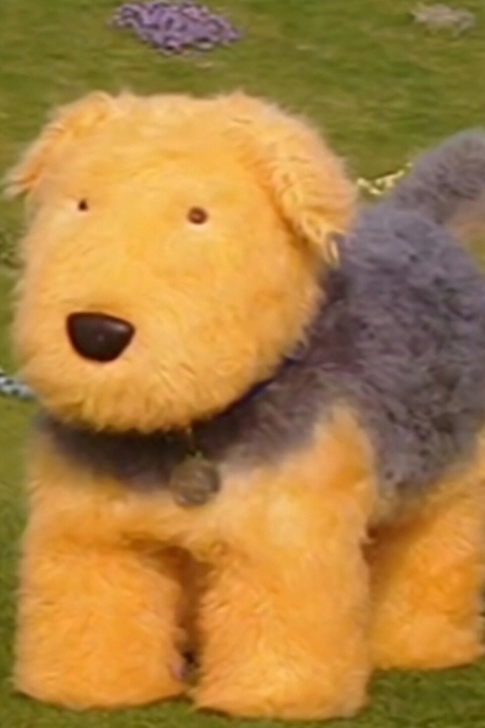 Our Dog Alice Pictures Rotten Tomatoes