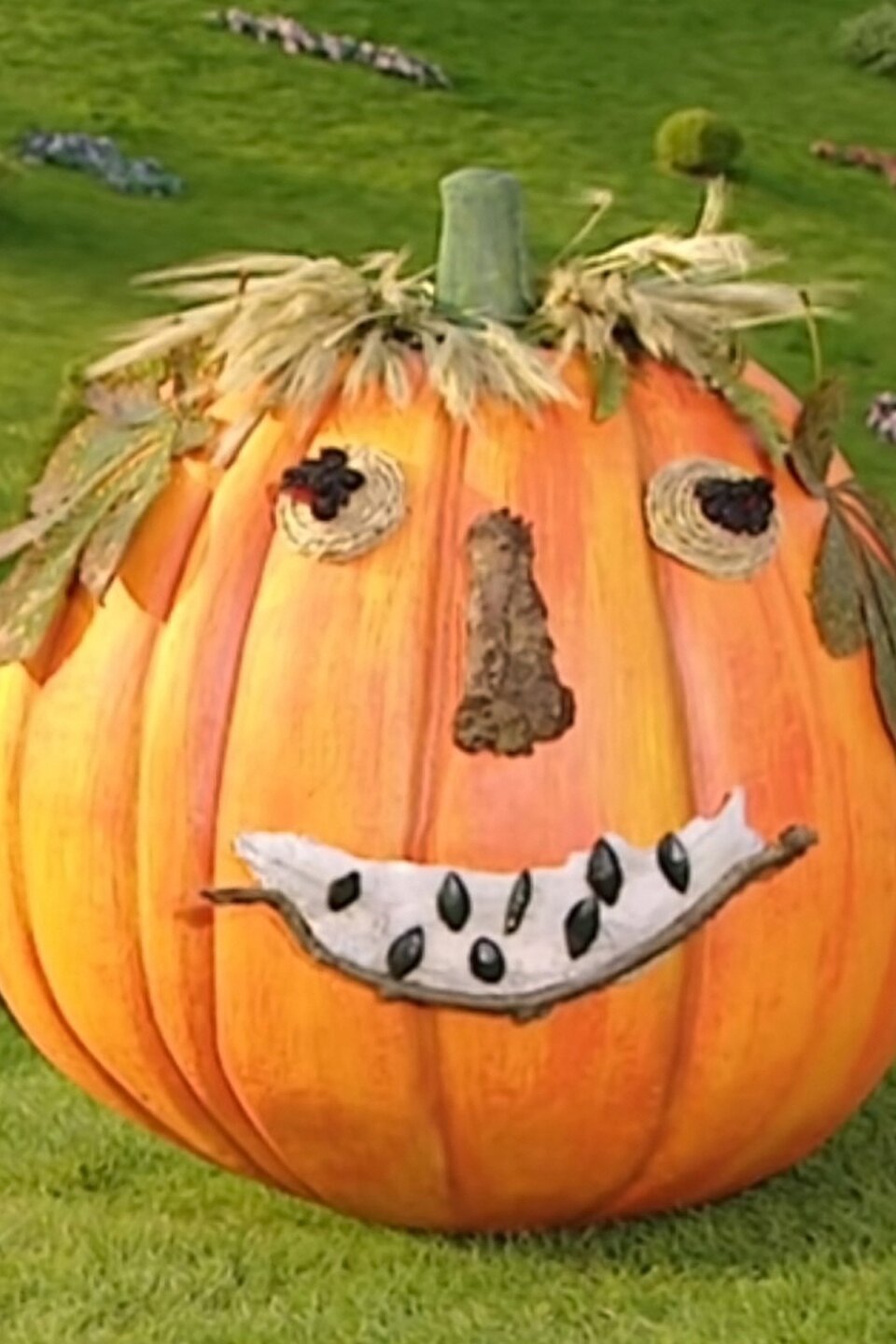Pumpkin Face Pictures Rotten Tomatoes