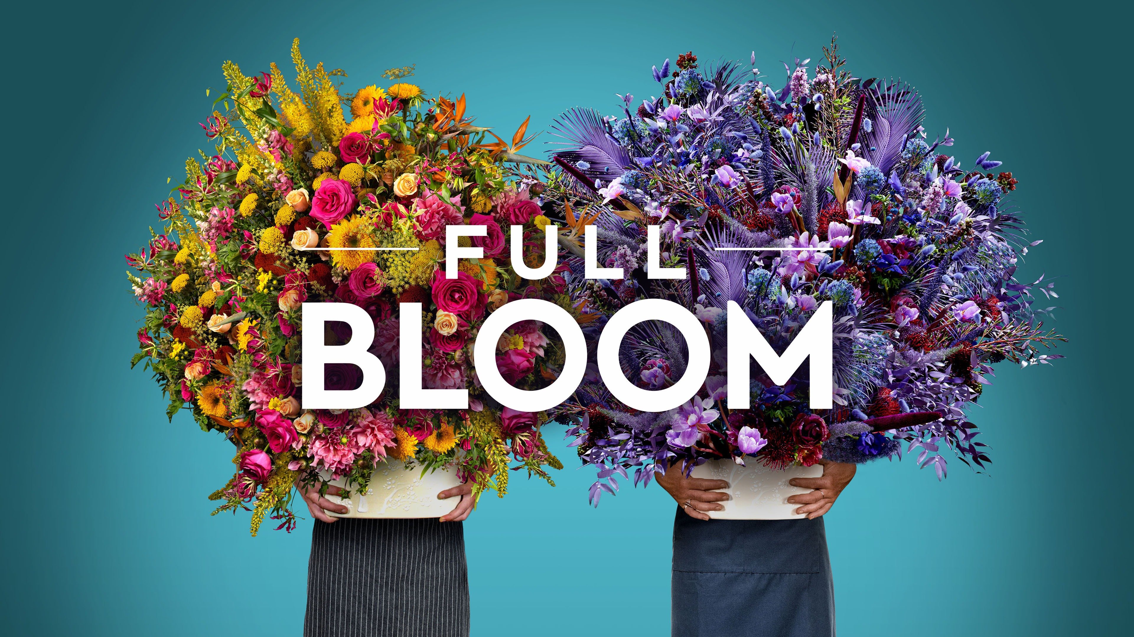 Full Bloom Rotten Tomatoes