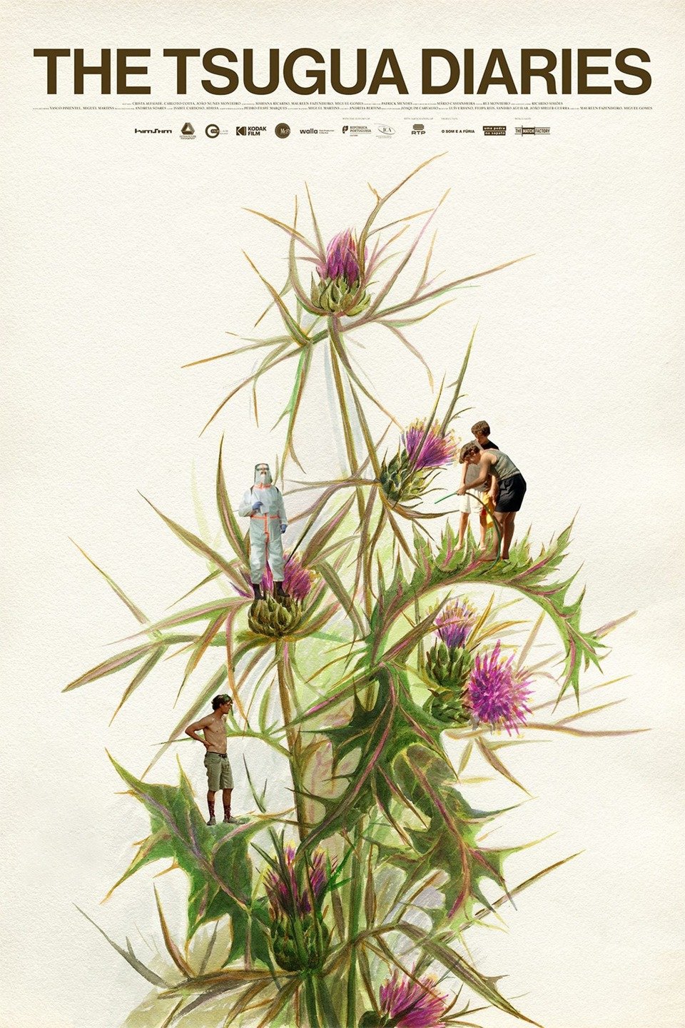 The Tsugua Diaries Rotten Tomatoes