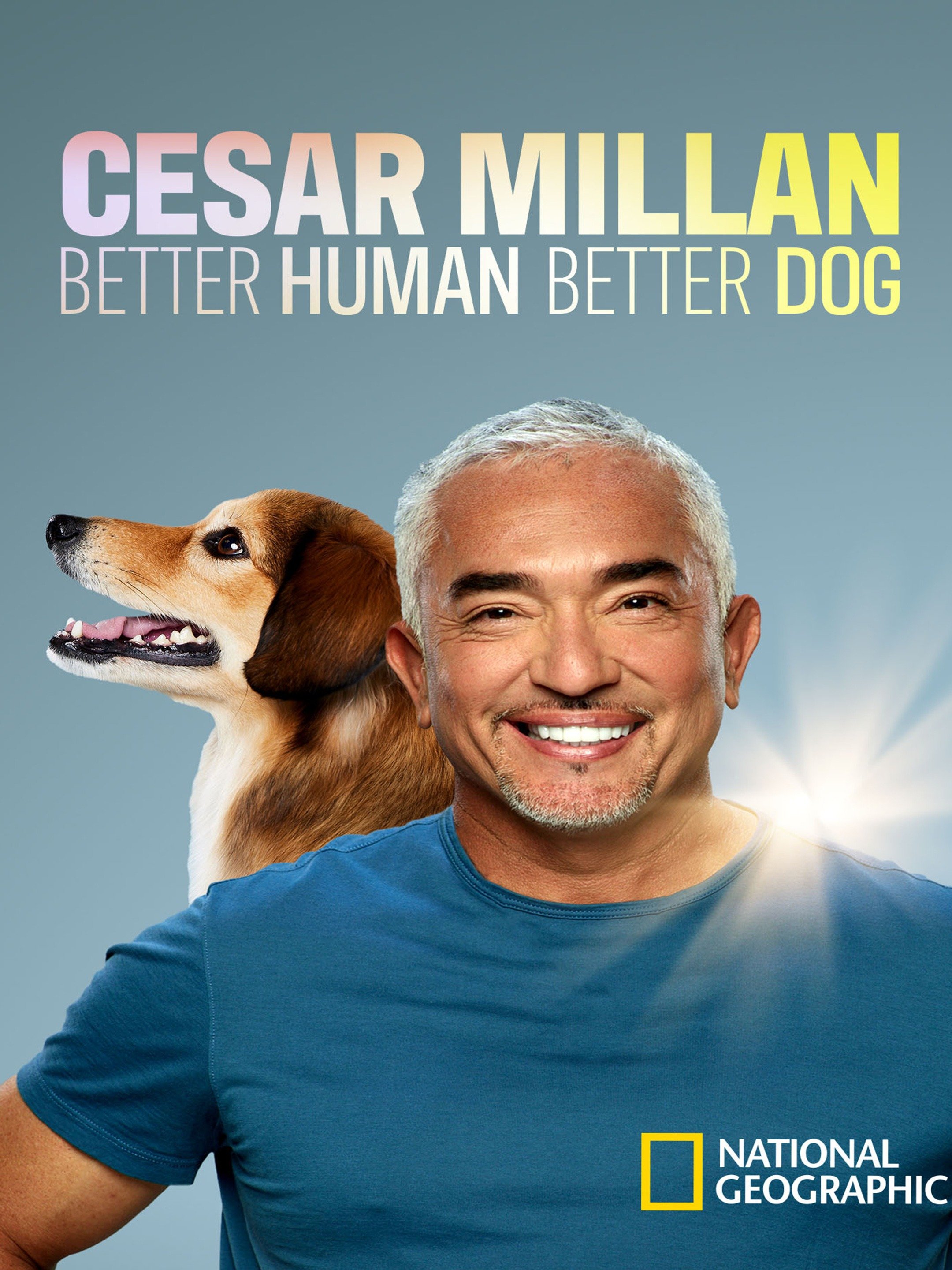 how to get cesar millan to help my dog