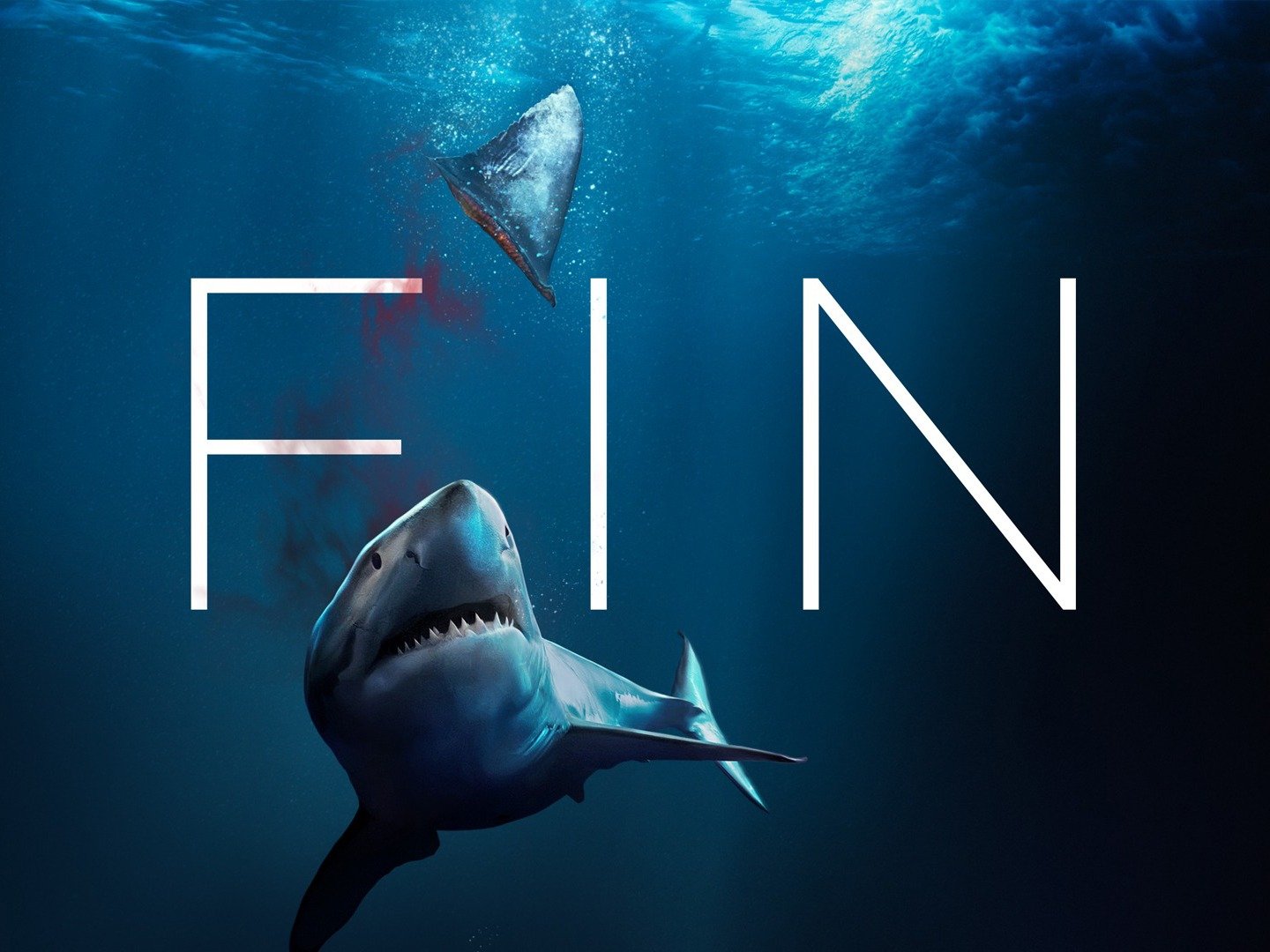 fin-movie-reviews