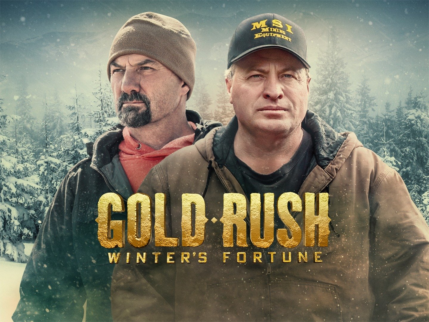 gold rush series buy