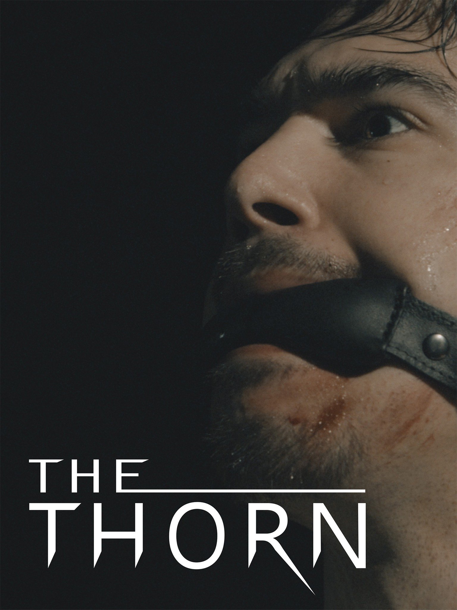 The Thorn Movie Reviews