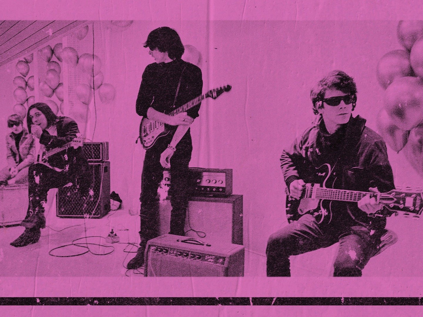 The Velvet Underground Trailer 1 Trailers & Videos Rotten Tomatoes