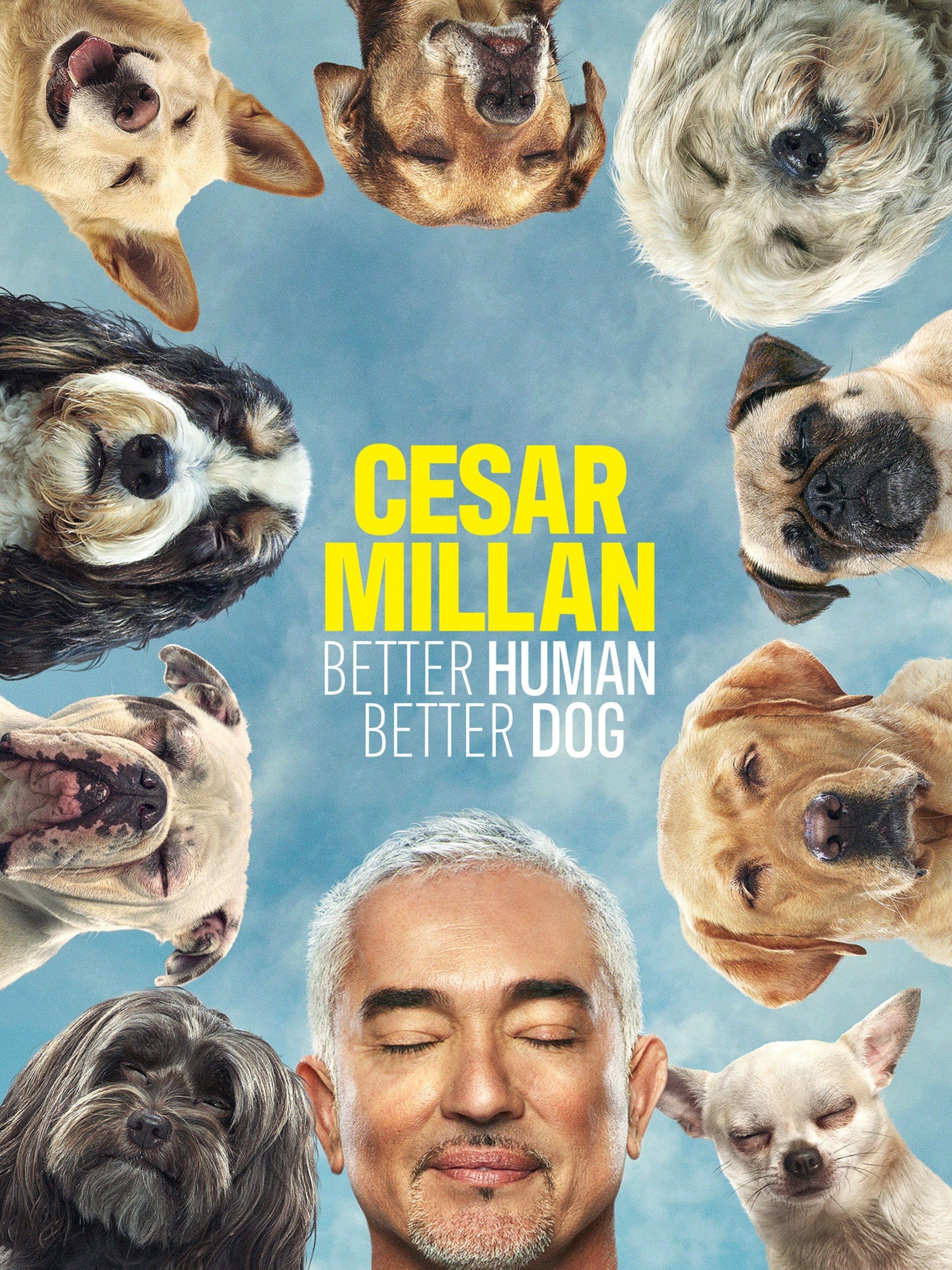 Cesar Millan: Better Human Better Dog, Lead On! - Rotten Tomatoes