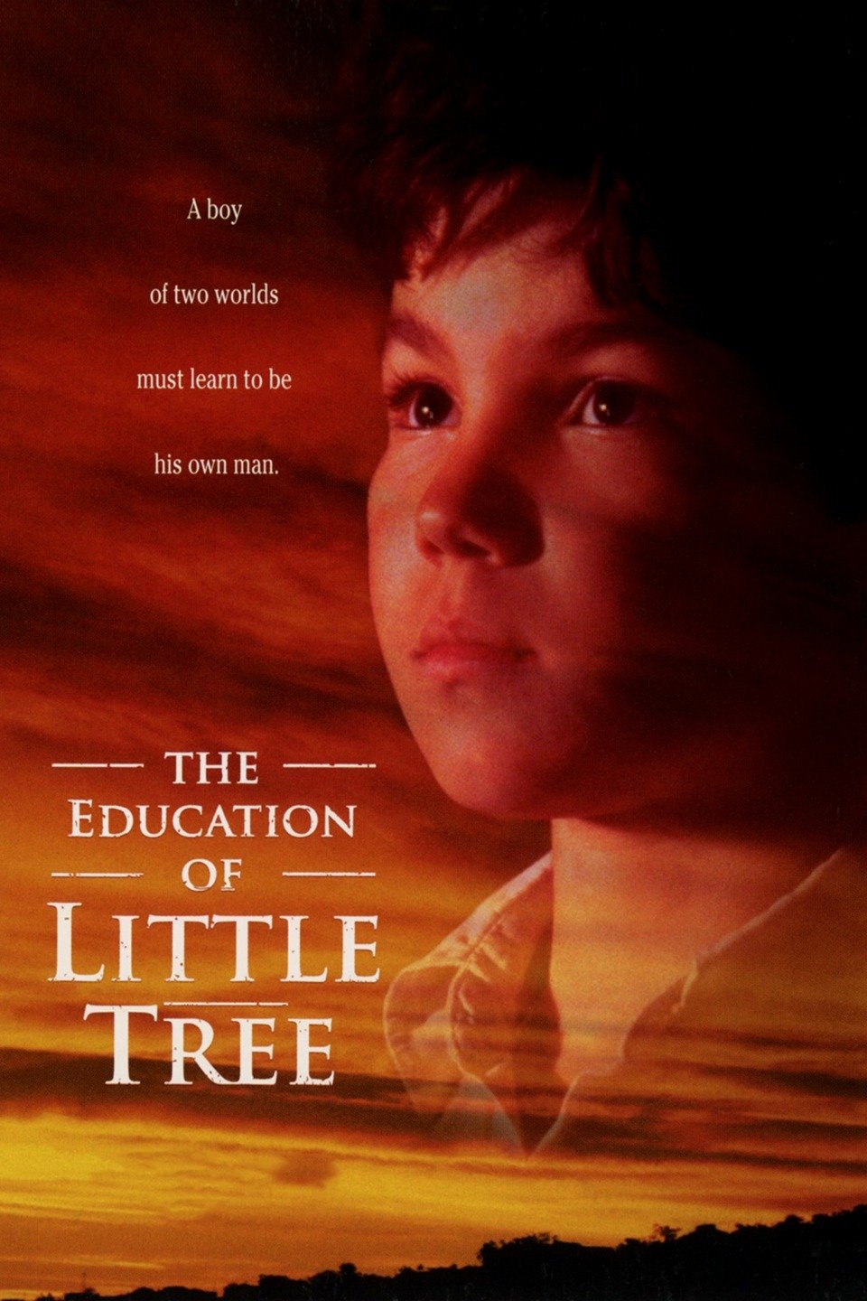 The Education Of Little Tree Pictures Rotten Tomatoes   P20361 V V8 Aa 