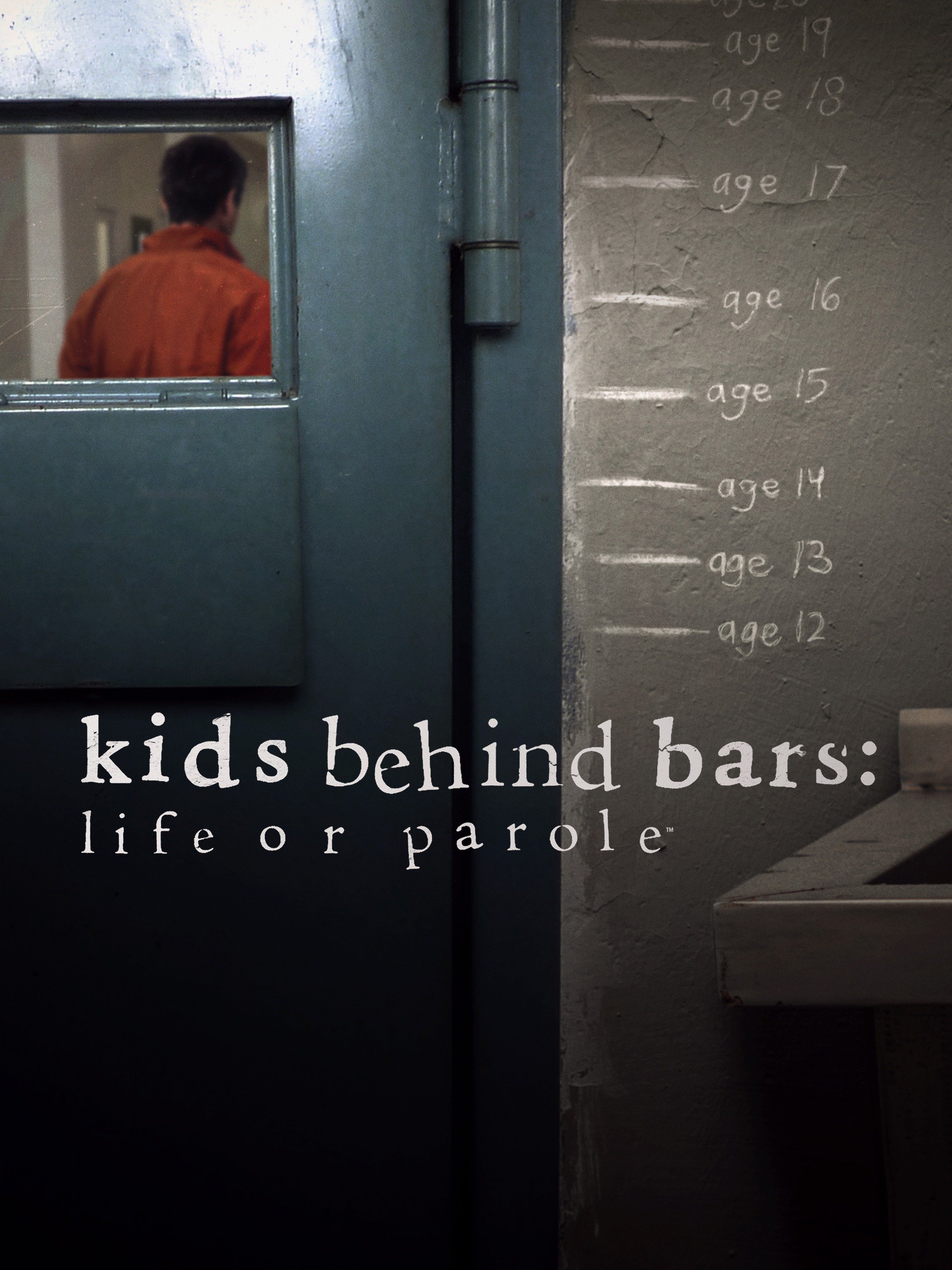 Corrlinks Alternatives: Connecting With Loved Ones Behind Bars - 9a1oq6x