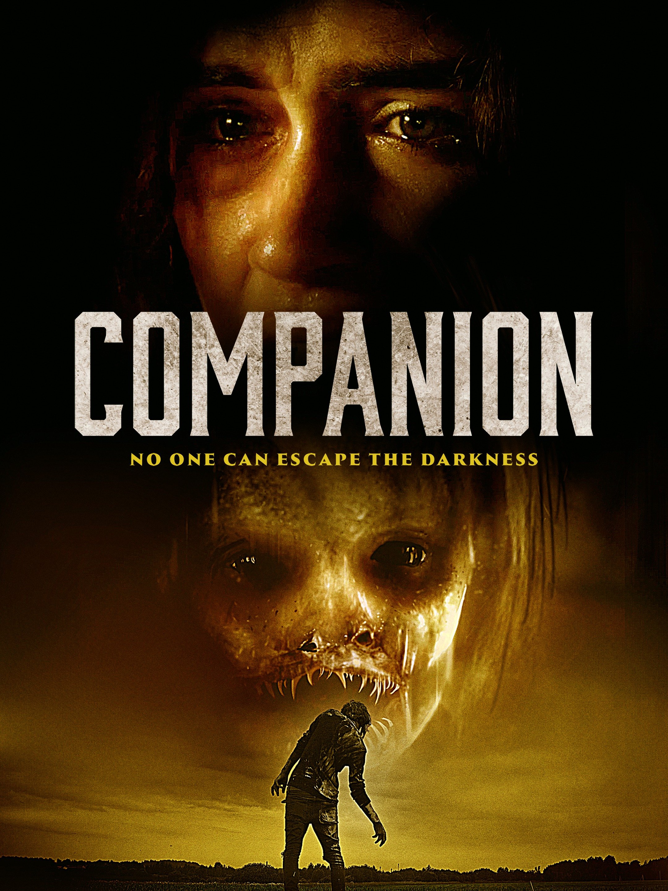 Film Companion