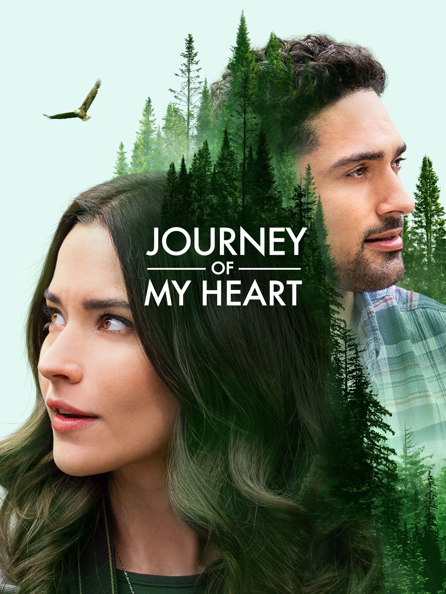 Journey of My Heart Pictures - Rotten Tomatoes