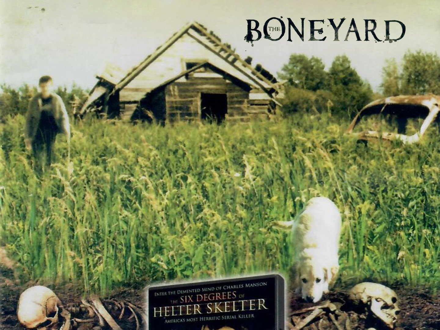 The Boneyard Movie Reviews