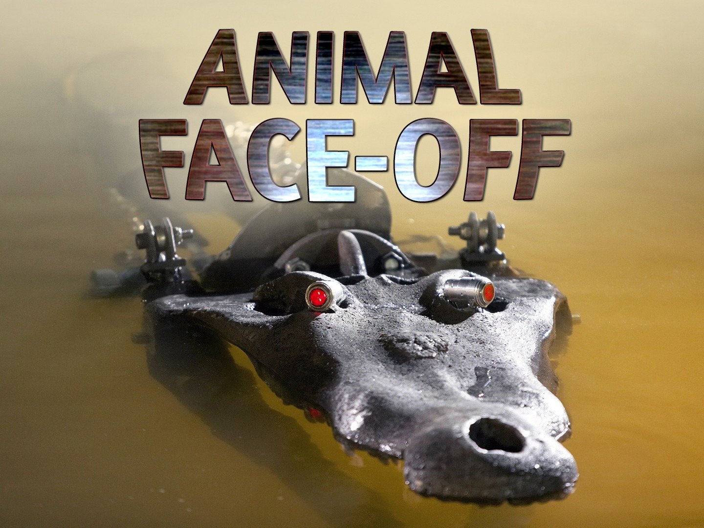 Animal Face-Off - Rotten Tomatoes