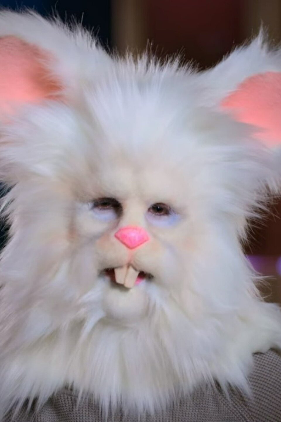 Robbie the Rabbit Pictures - Rotten Tomatoes