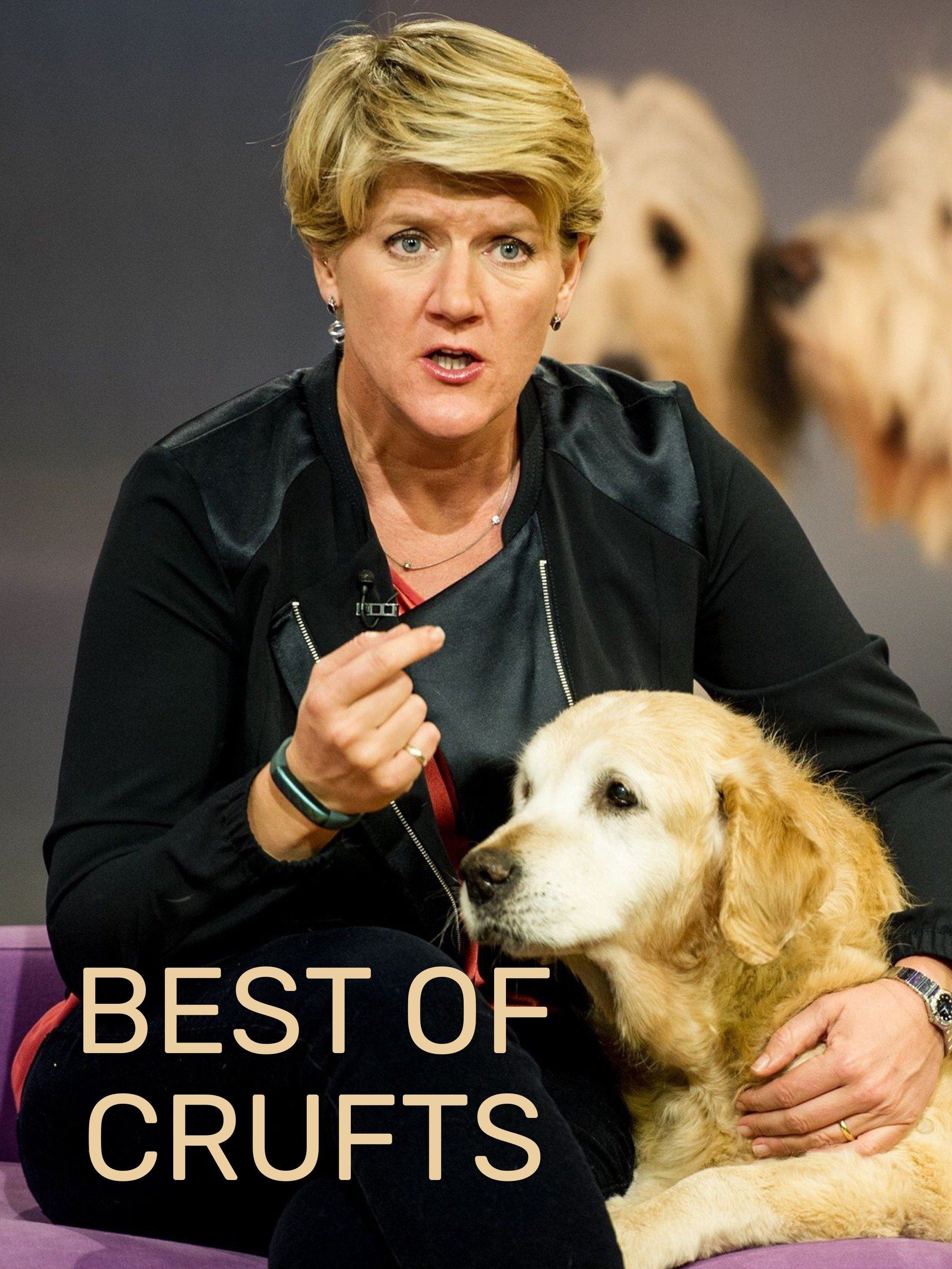 best-of-crufts-rotten-tomatoes