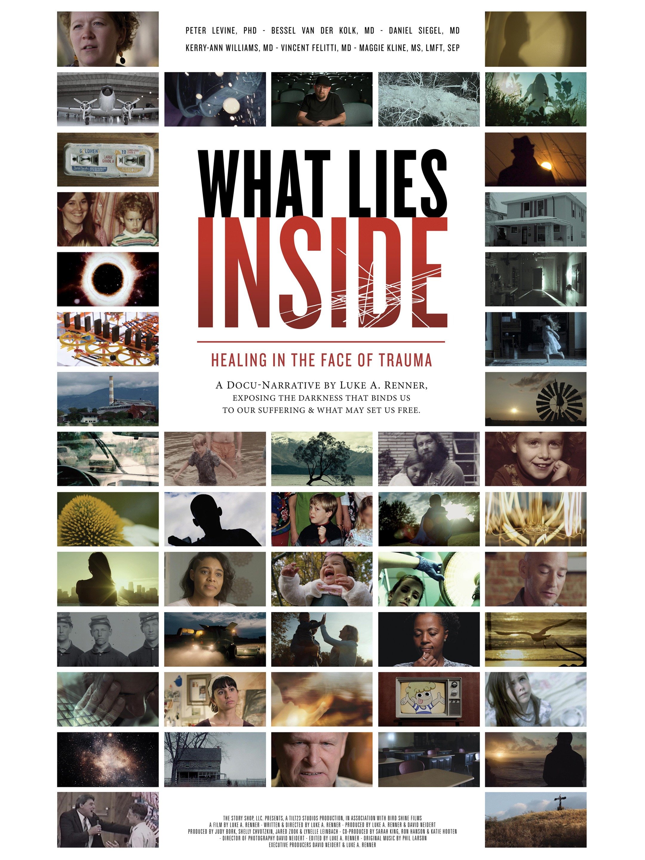 What Lies Inside Healing In The Face Of Trauma Pictures Rotten Tomatoes