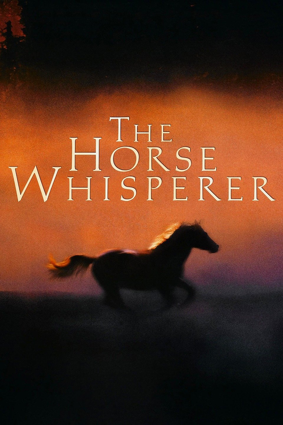 book review the horse whisperer