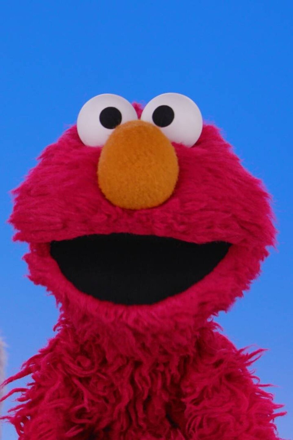 My Elmo: Birds Pictures - Rotten Tomatoes