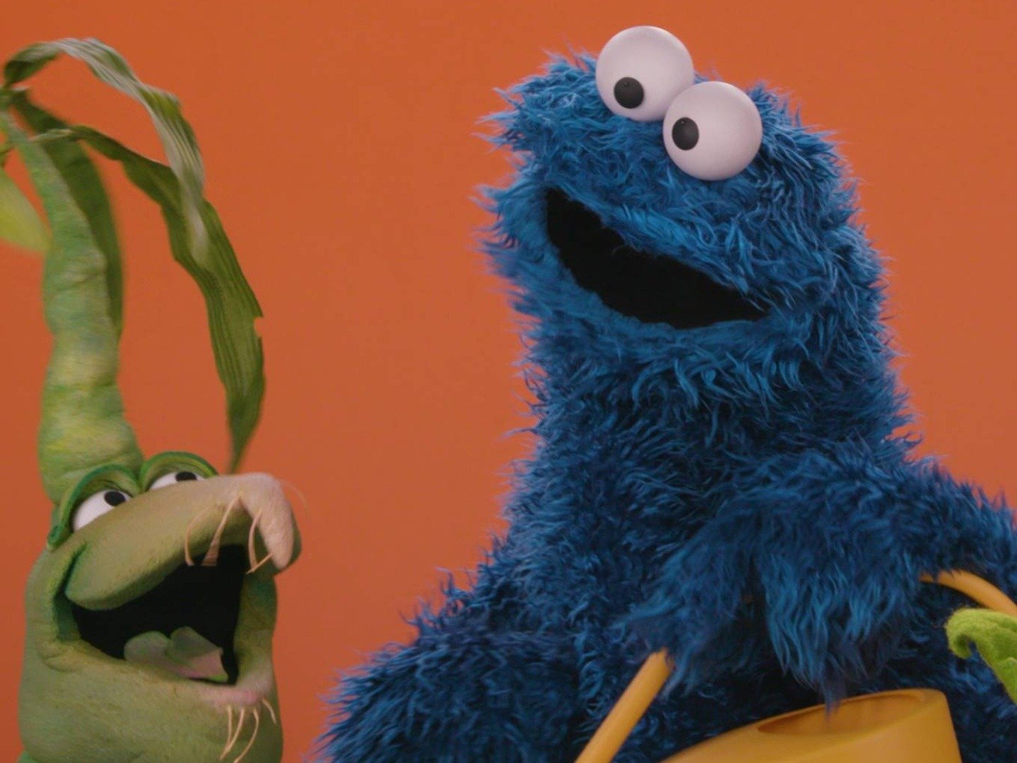 Cookie Monster, Muppet Wiki