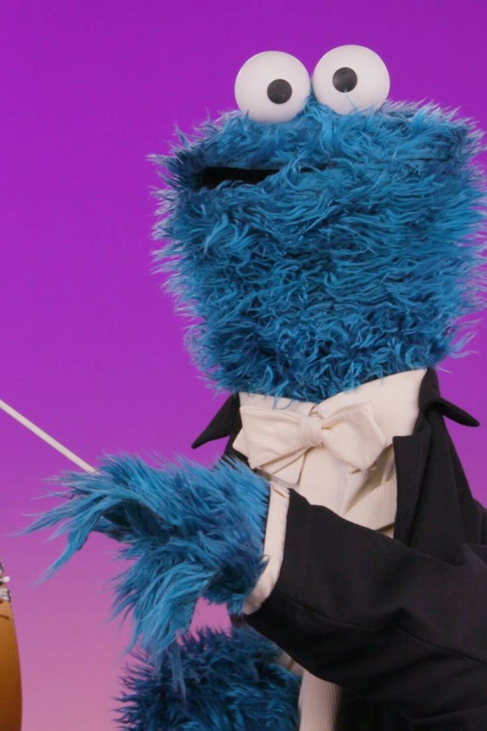 My Cookie Monster Music Pictures Rotten Tomatoes
