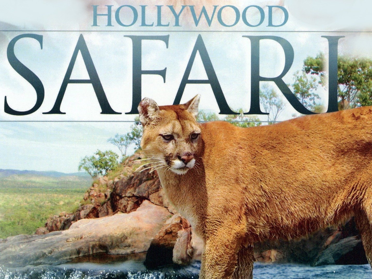 hollywood safari tv series