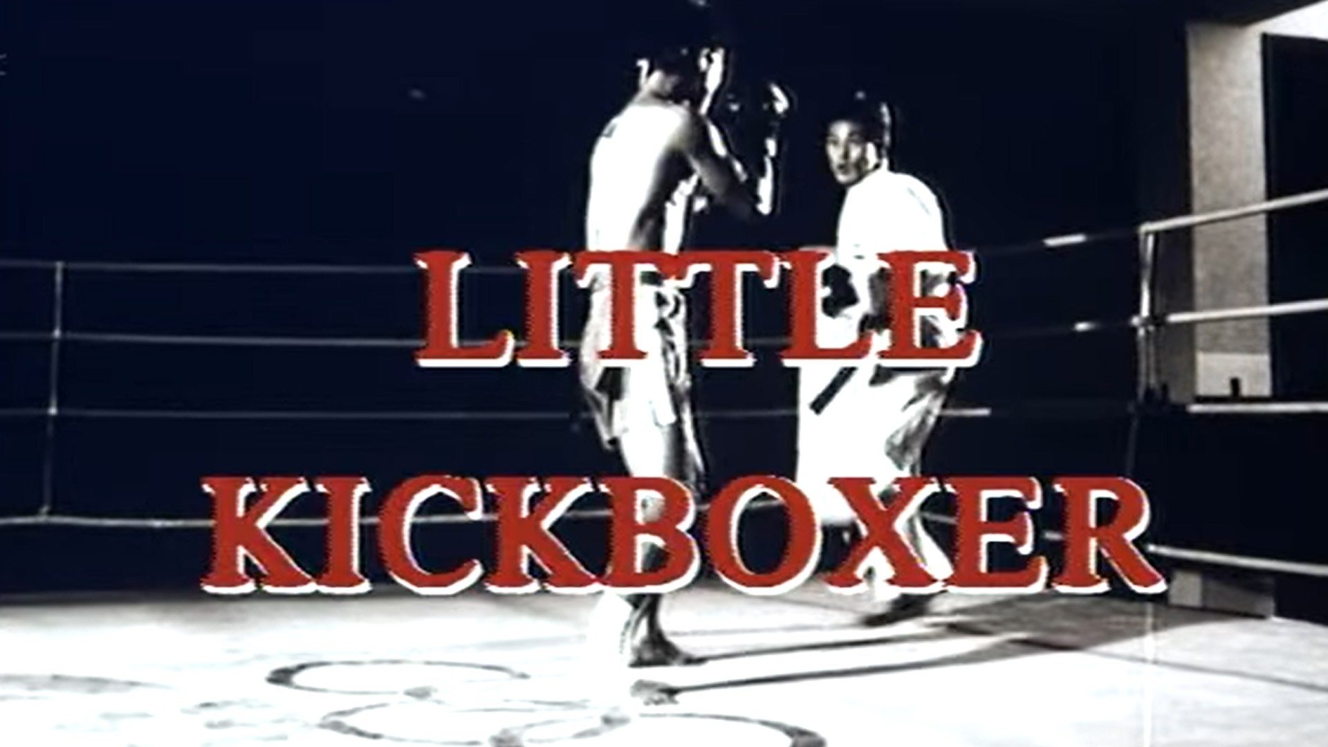 Little Kickboxer