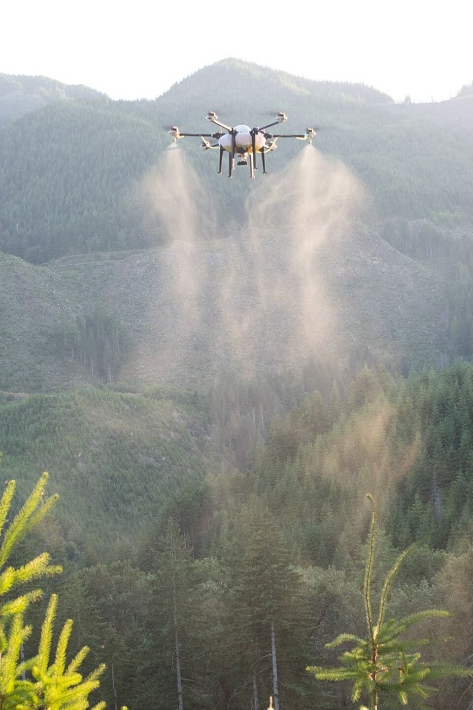 Strange Returns Pictures Rotten Tomatoes