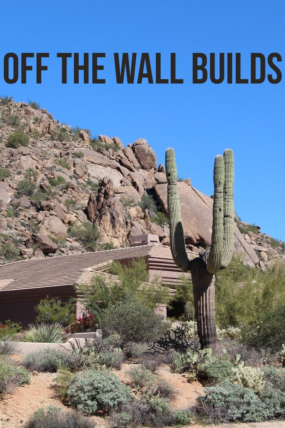 Off the Wall Builds Pictures Rotten Tomatoes