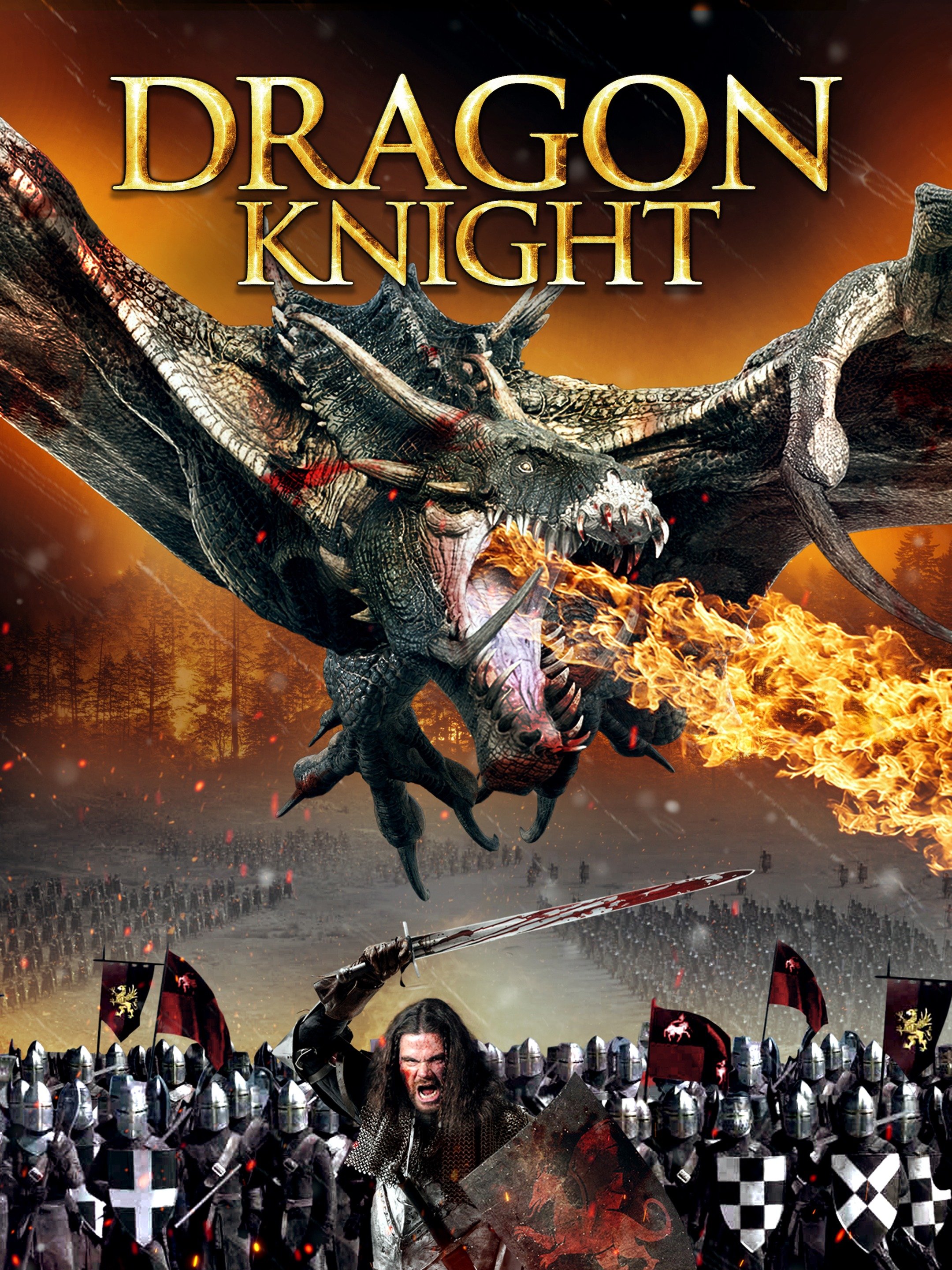 dragon knight movie        
        <figure class=