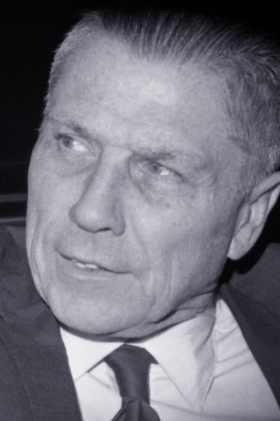 The Disappearance of Jimmy Hoffa Pictures Rotten Tomatoes