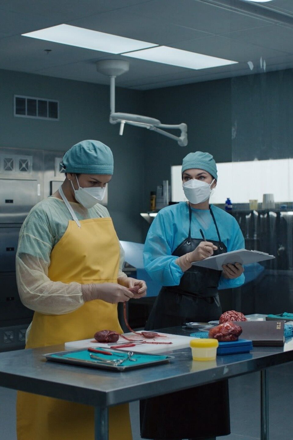 Safe Space Pictures Rotten Tomatoes