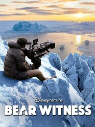 Bear Witness Pictures Rotten Tomatoes