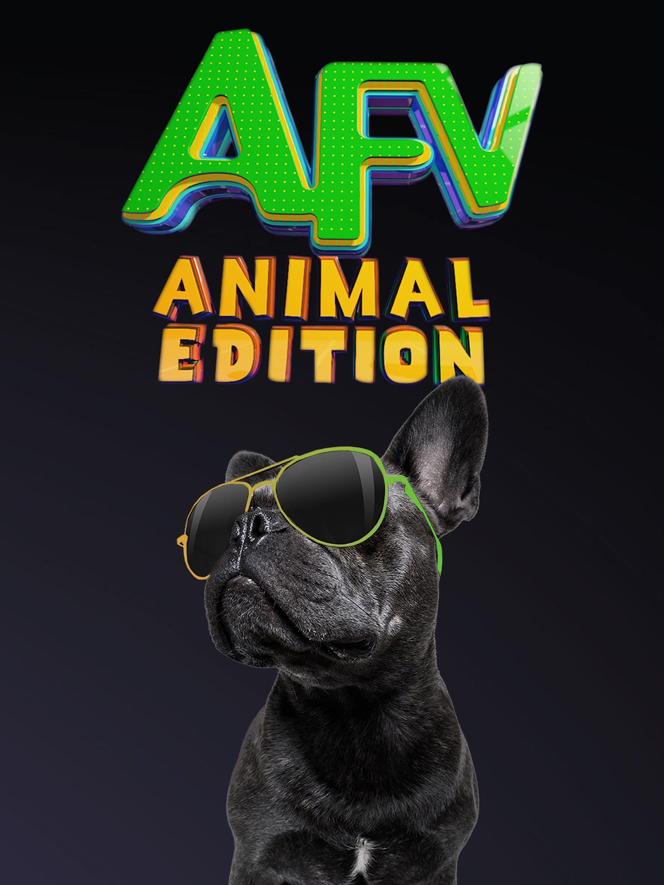 America's Funniest Home Videos Animal Edition Season 2 Pictures Rotten Tomatoes