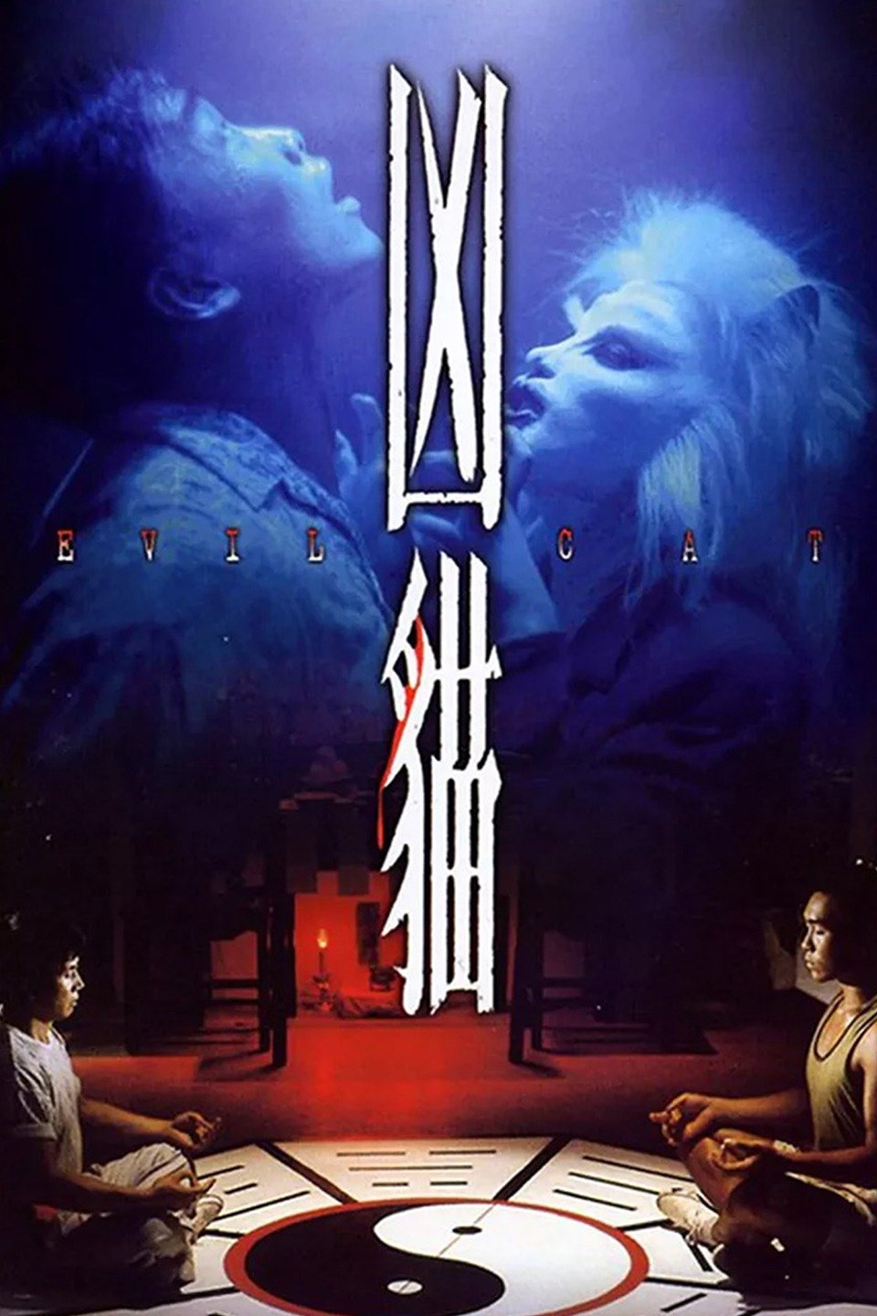 Evil Cat Rotten Tomatoes