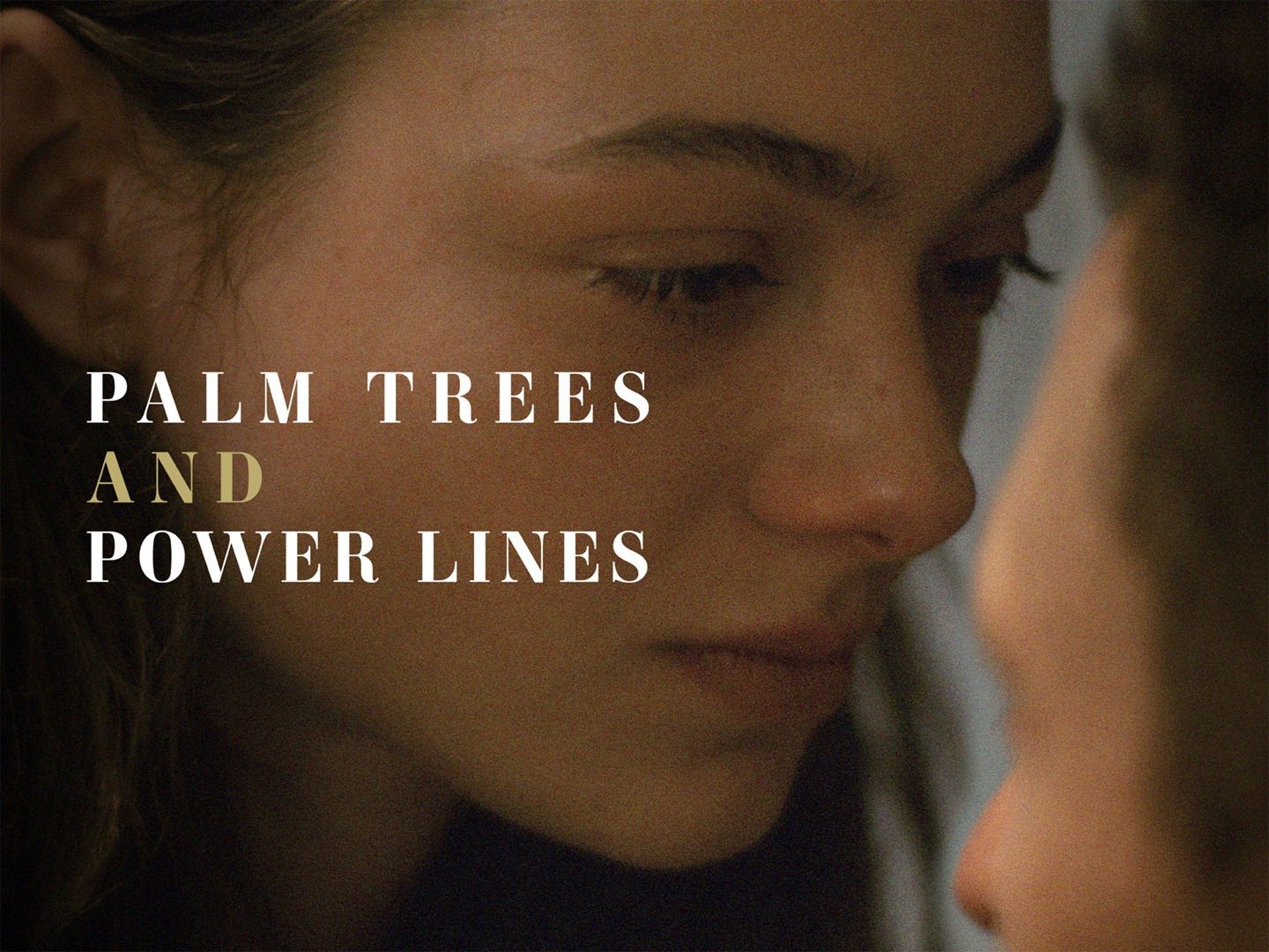 Palm Trees and Power Lines Trailer 1 Trailers & Videos Rotten Tomatoes