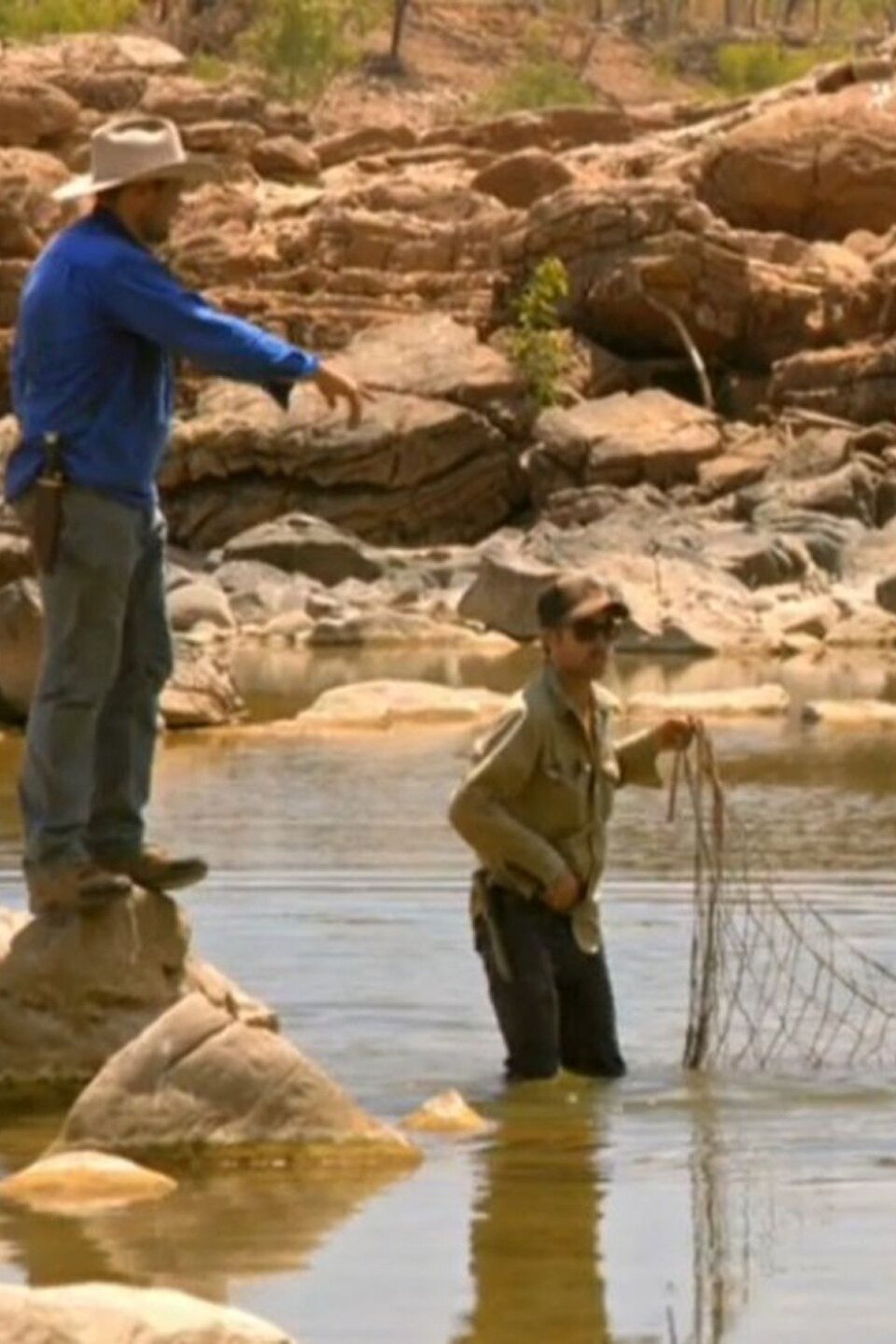 Escape Artist Pictures Rotten Tomatoes