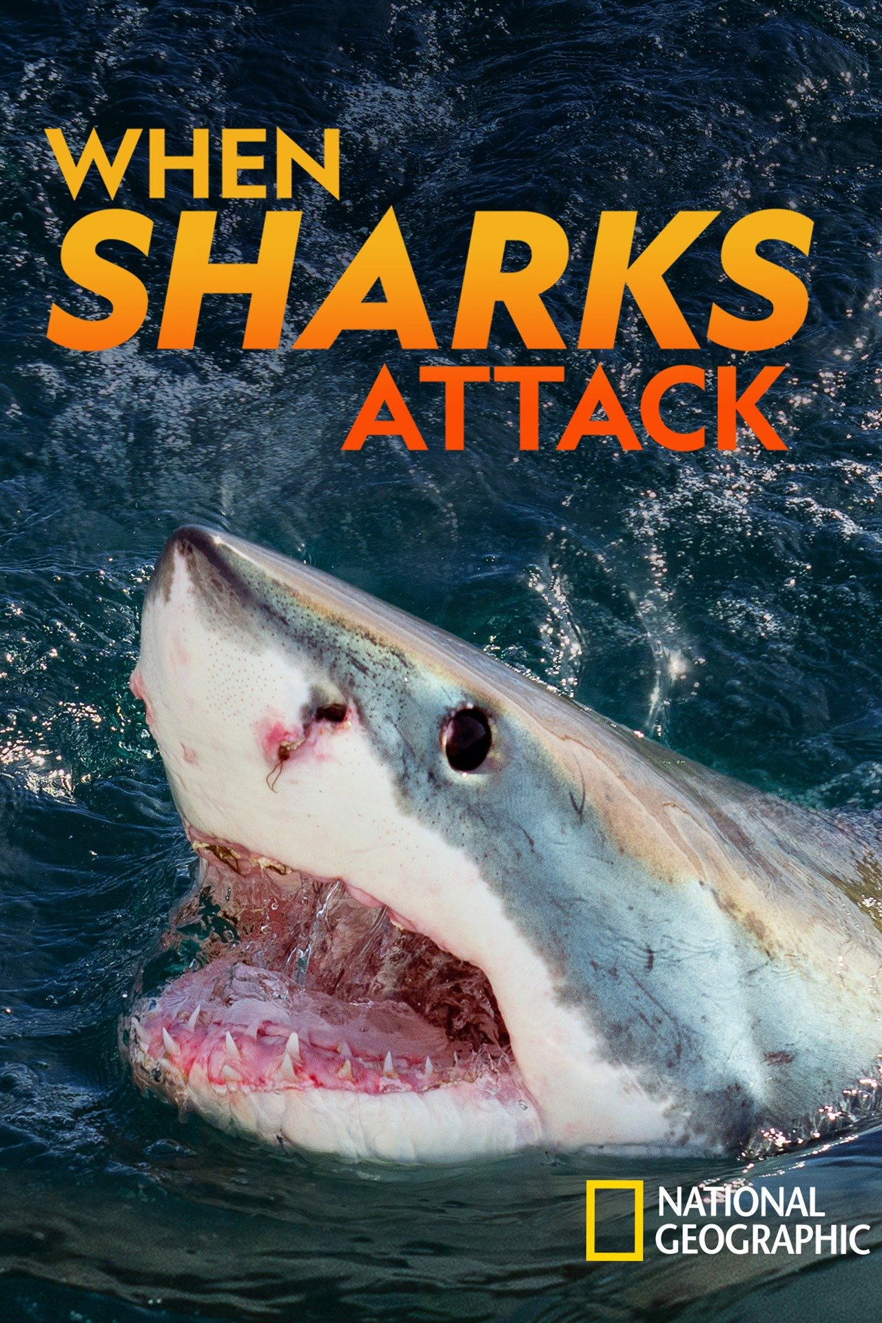 When Sharks Attack - Rotten Tomatoes