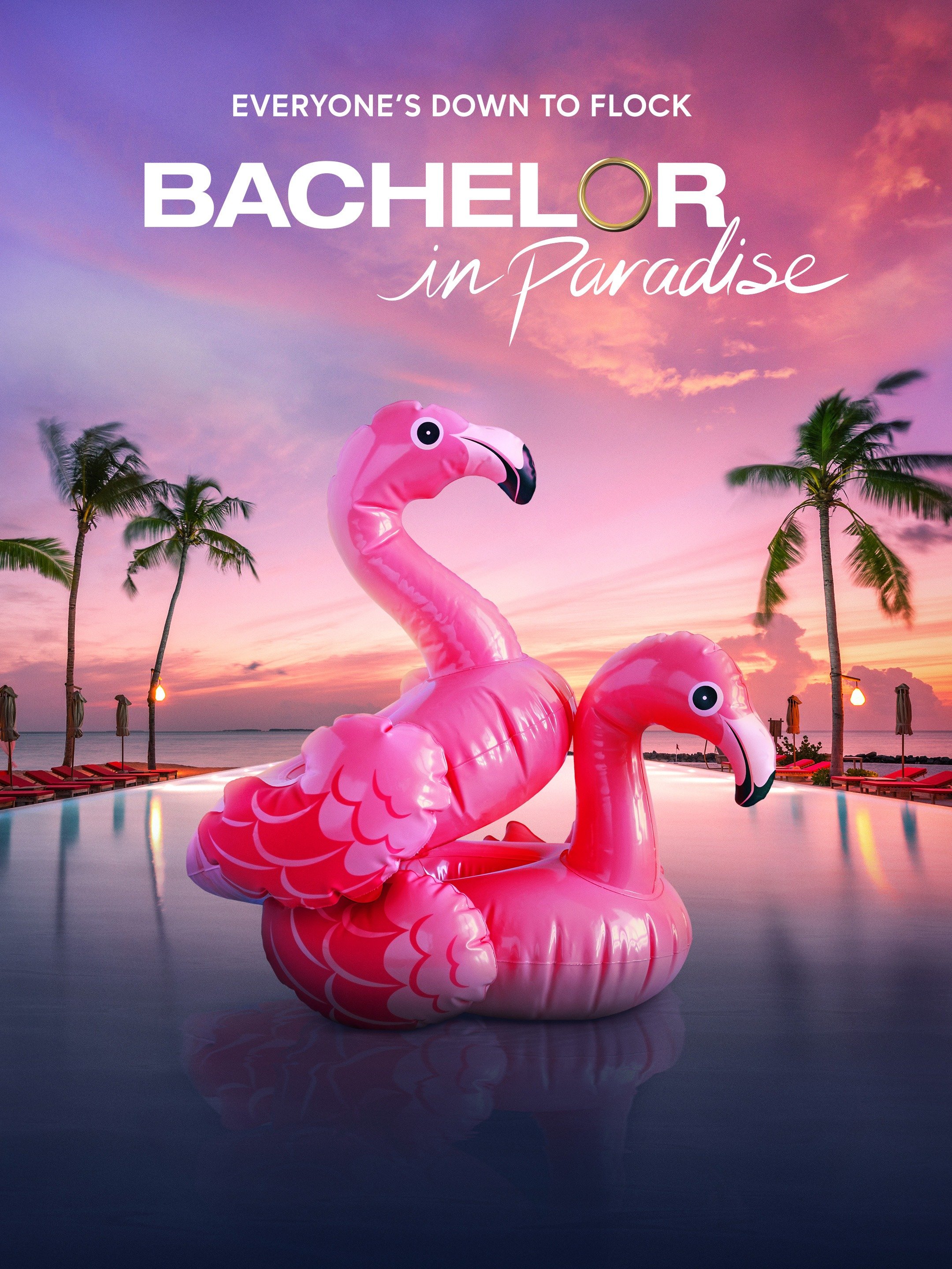 Bachelor in Paradise - Rotten Tomatoes