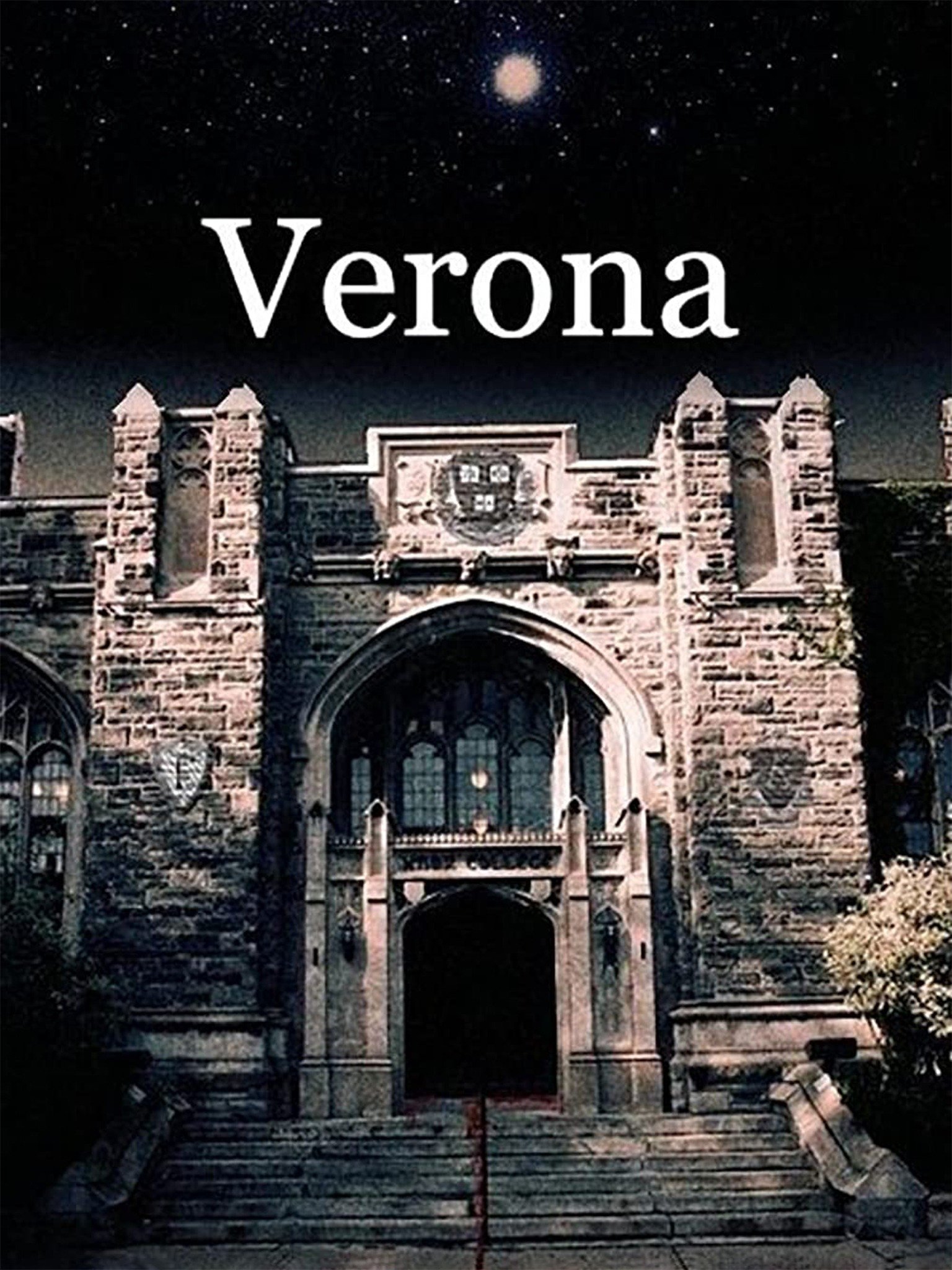 Verona visual data 5