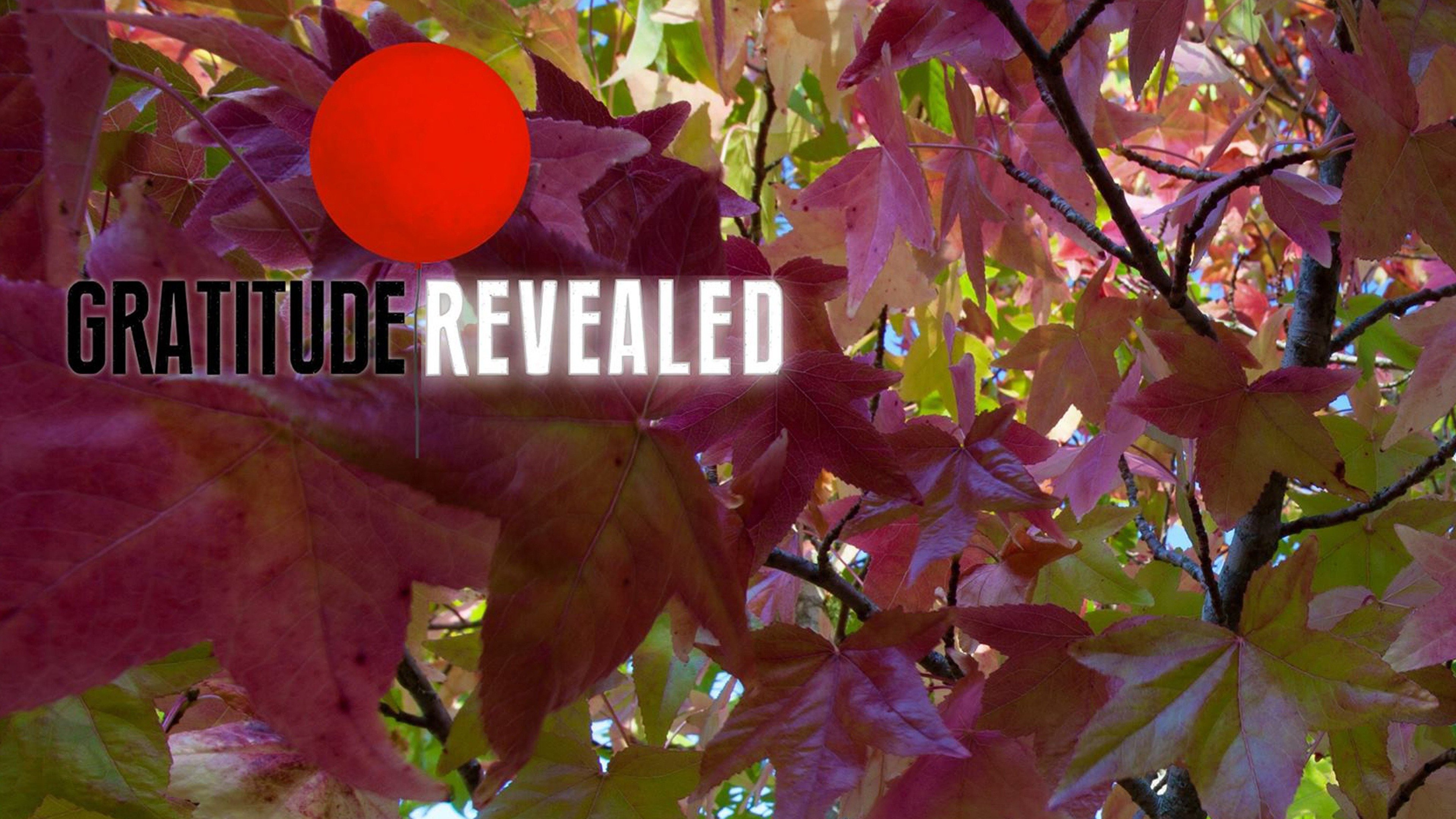 Gratitude Revealed Trailer 1 Trailers & Videos Rotten Tomatoes