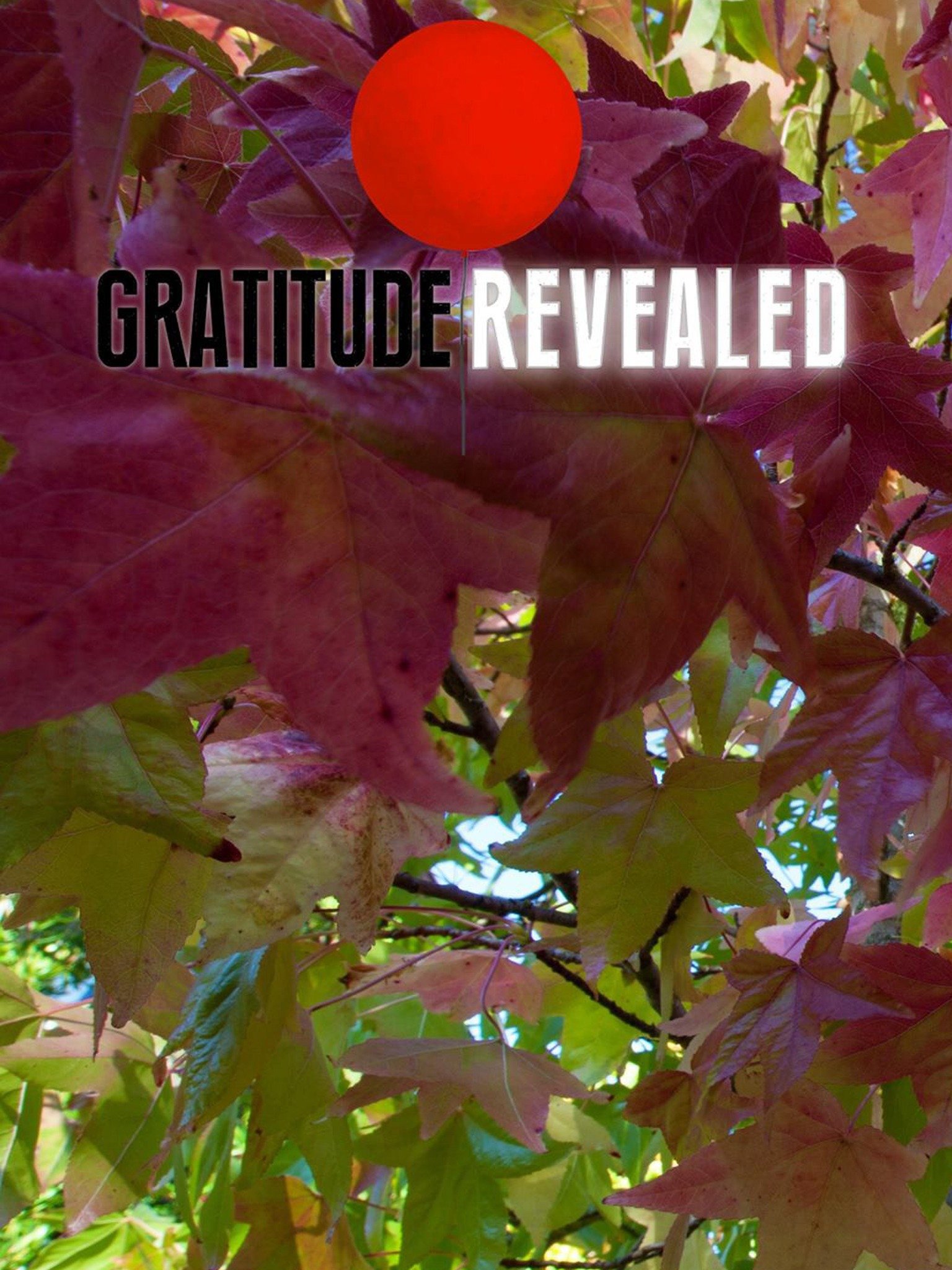 Gratitude Revealed Trailer 1 Trailers & Videos Rotten Tomatoes