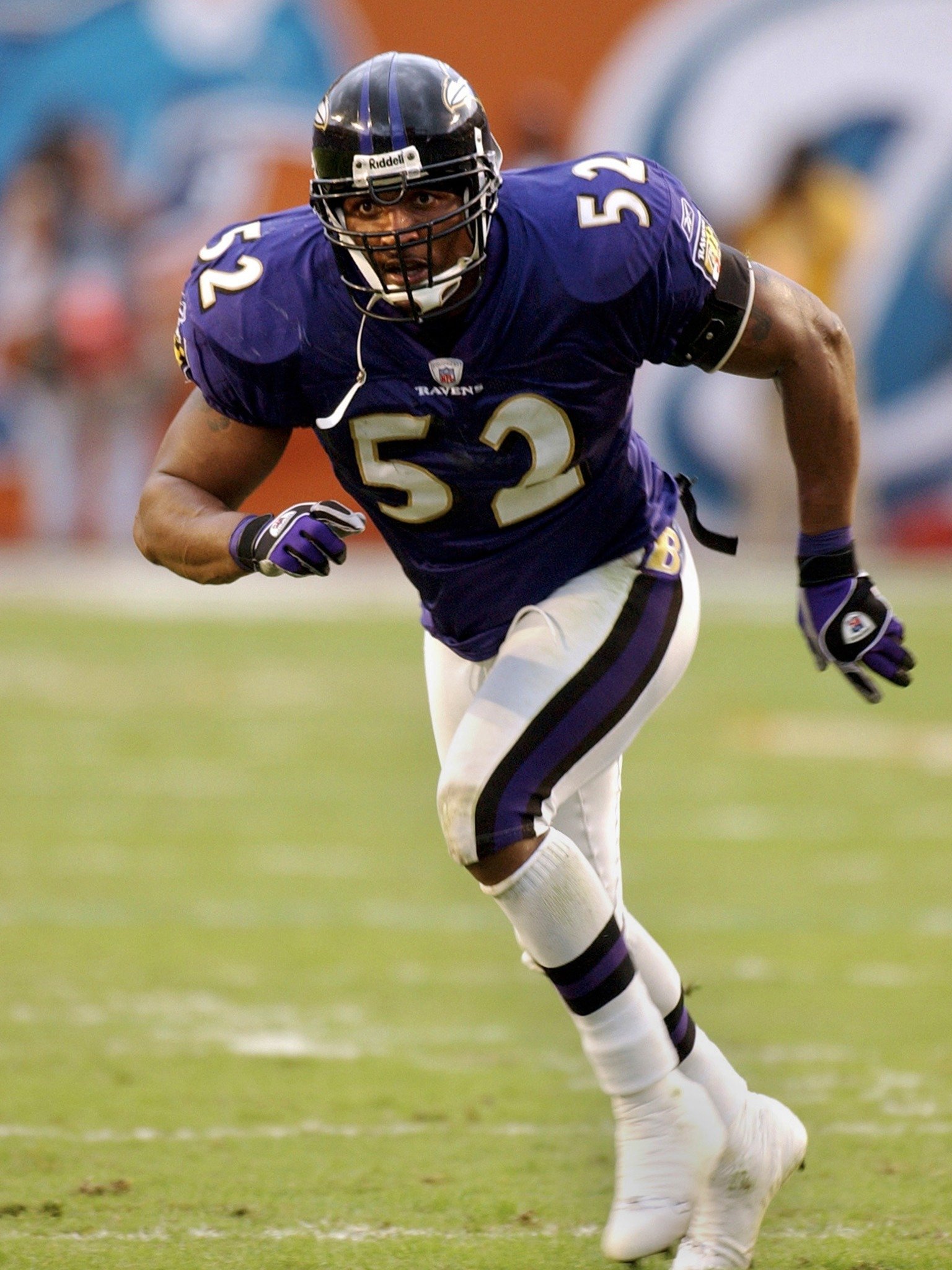 7 Wallpaper ideas  baltimore ravens football, ravens football, ray lewis