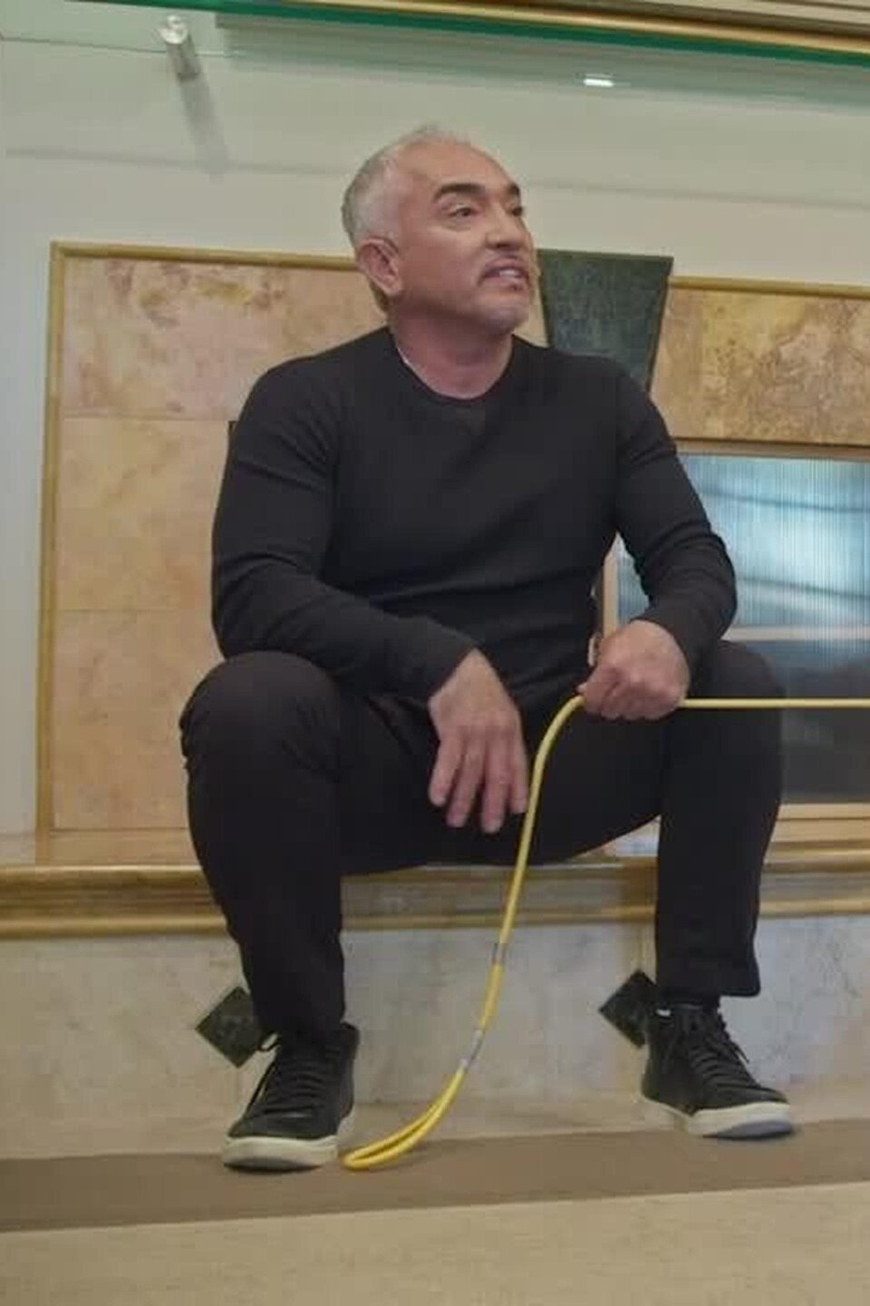 Best Friend, Bodyguard Pictures Rotten Tomatoes