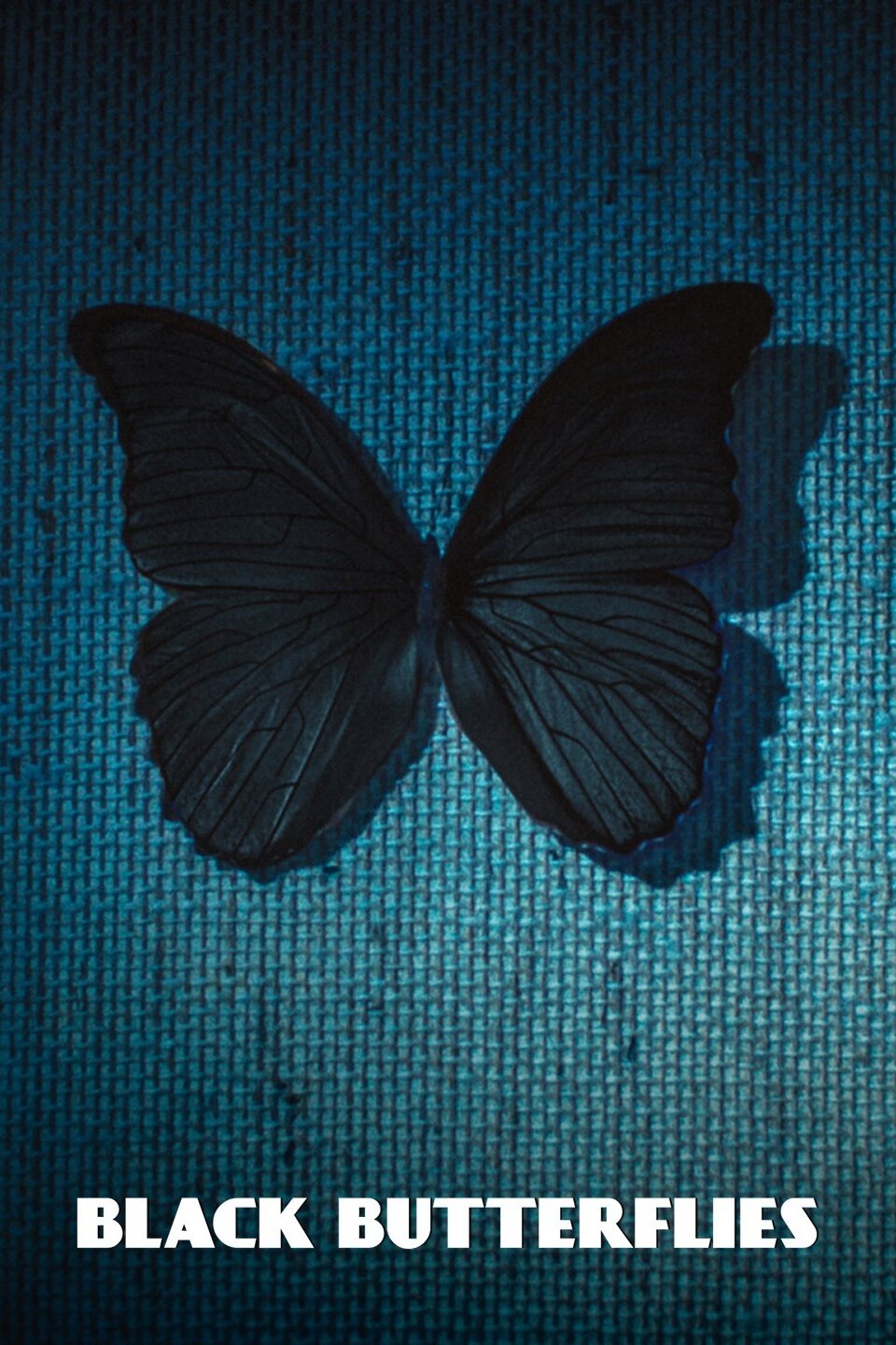 Черные ночные бабочки. Бабочка черная. Чёрная бабочка примета. Бабочки на черном фоне. Черные бабочки 2011.