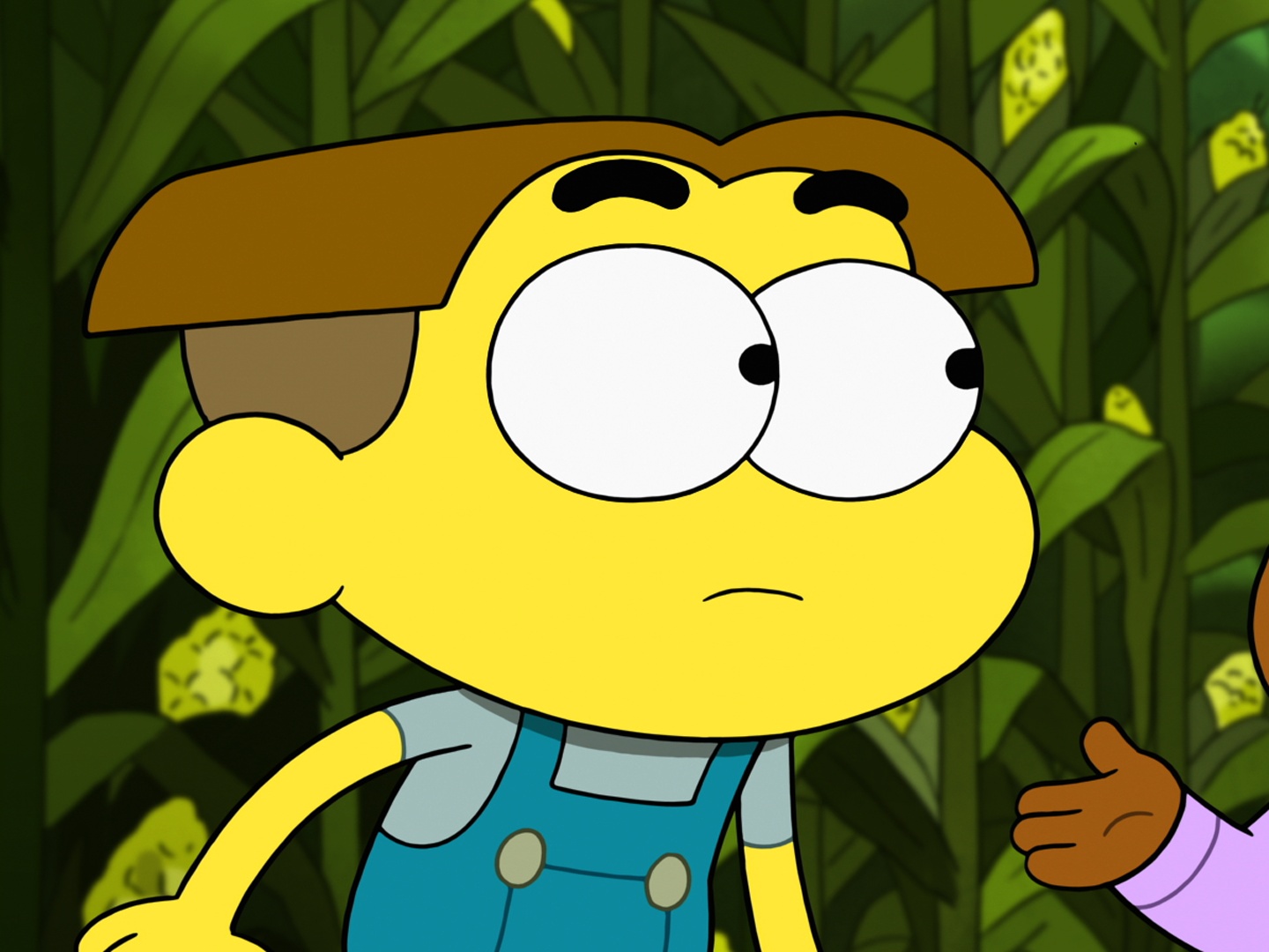 Big City Greens  Rotten Tomatoes