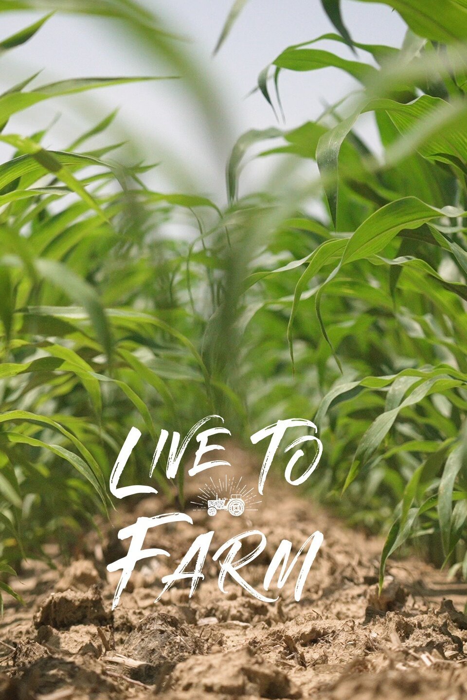 Live to Farm Rotten Tomatoes