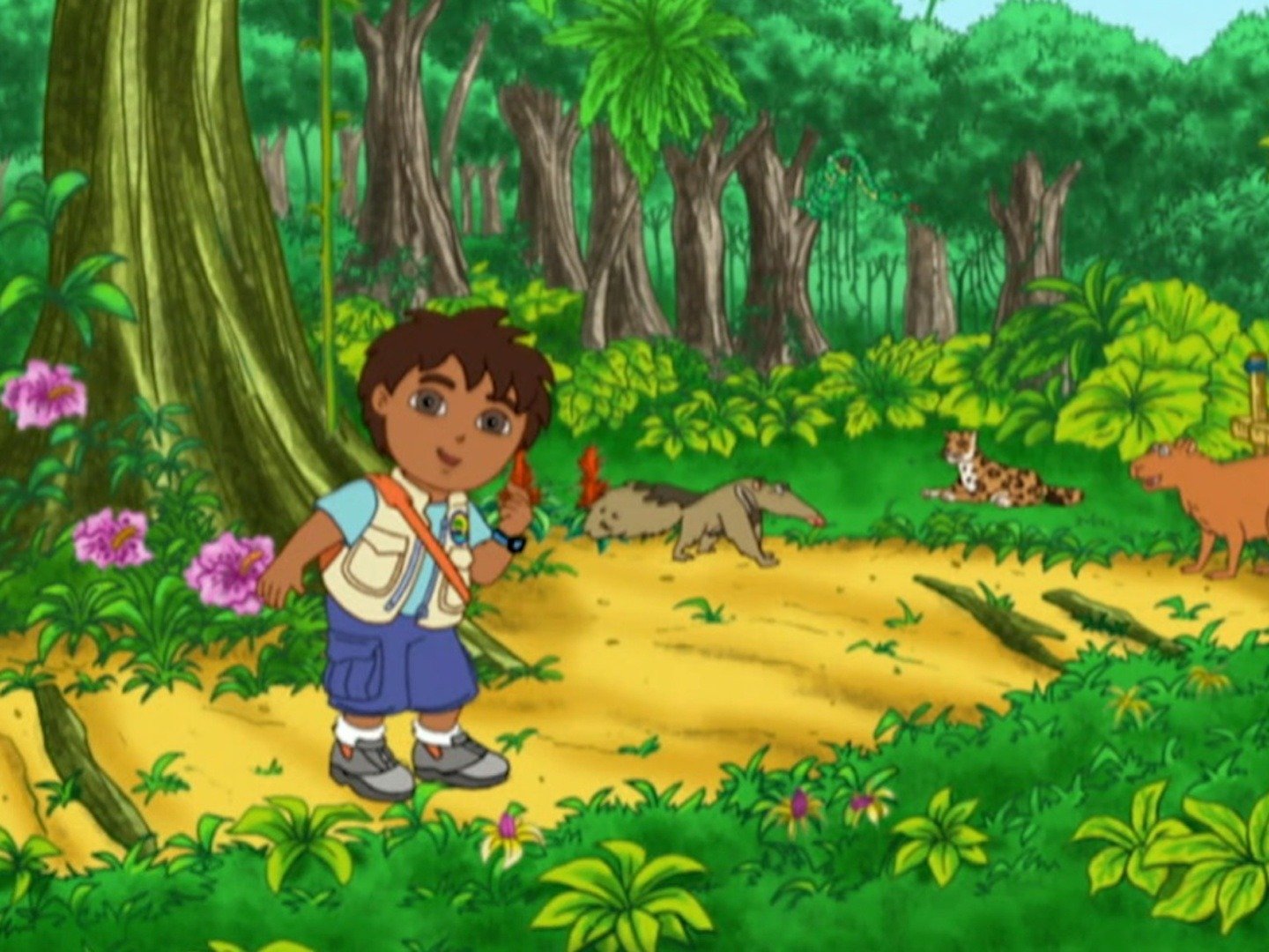 Go, Diego, Go!: Season 2, Episode 3 - Rotten Tomatoes