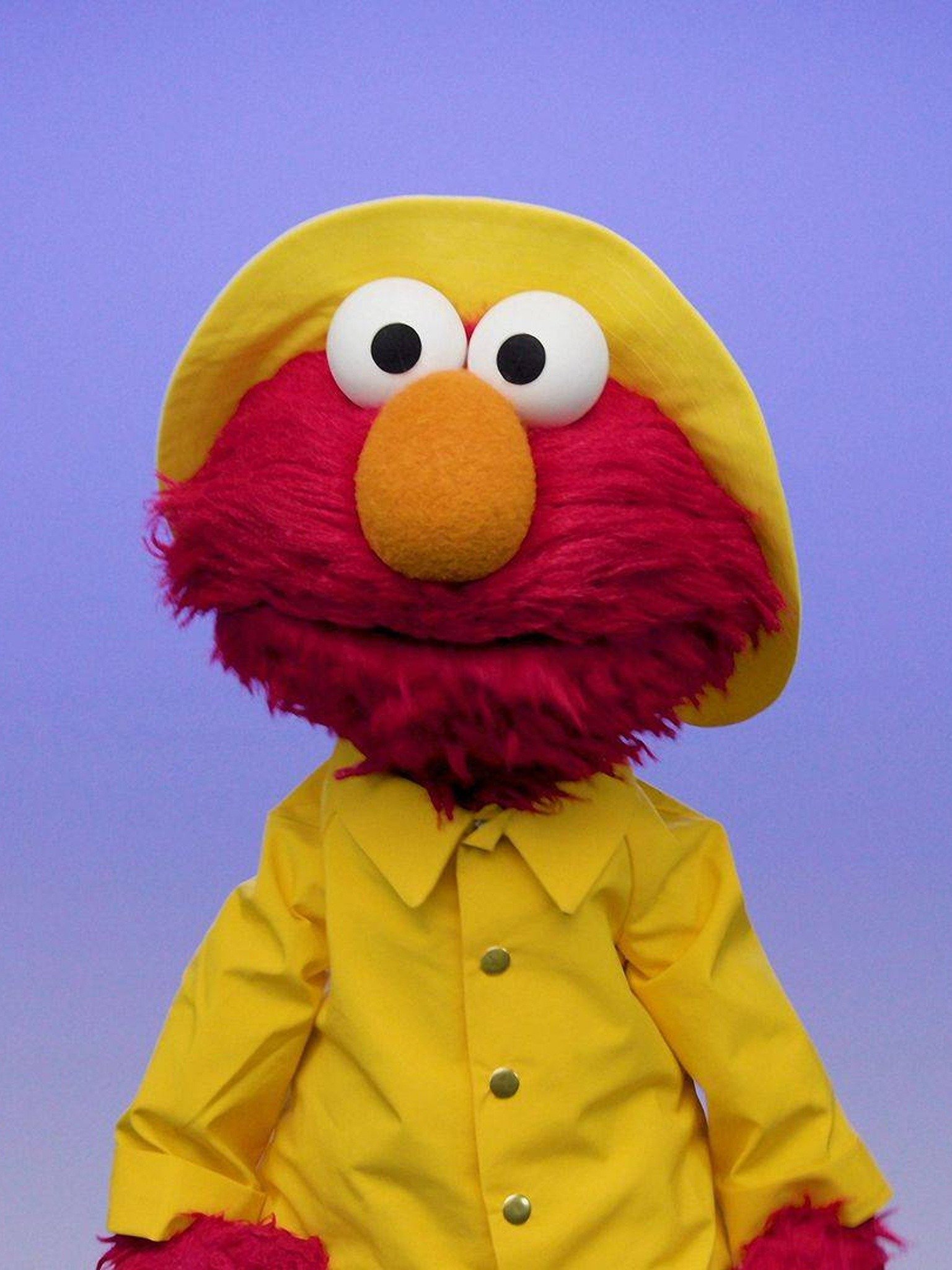 My Elmo Weather Pictures Rotten Tomatoes