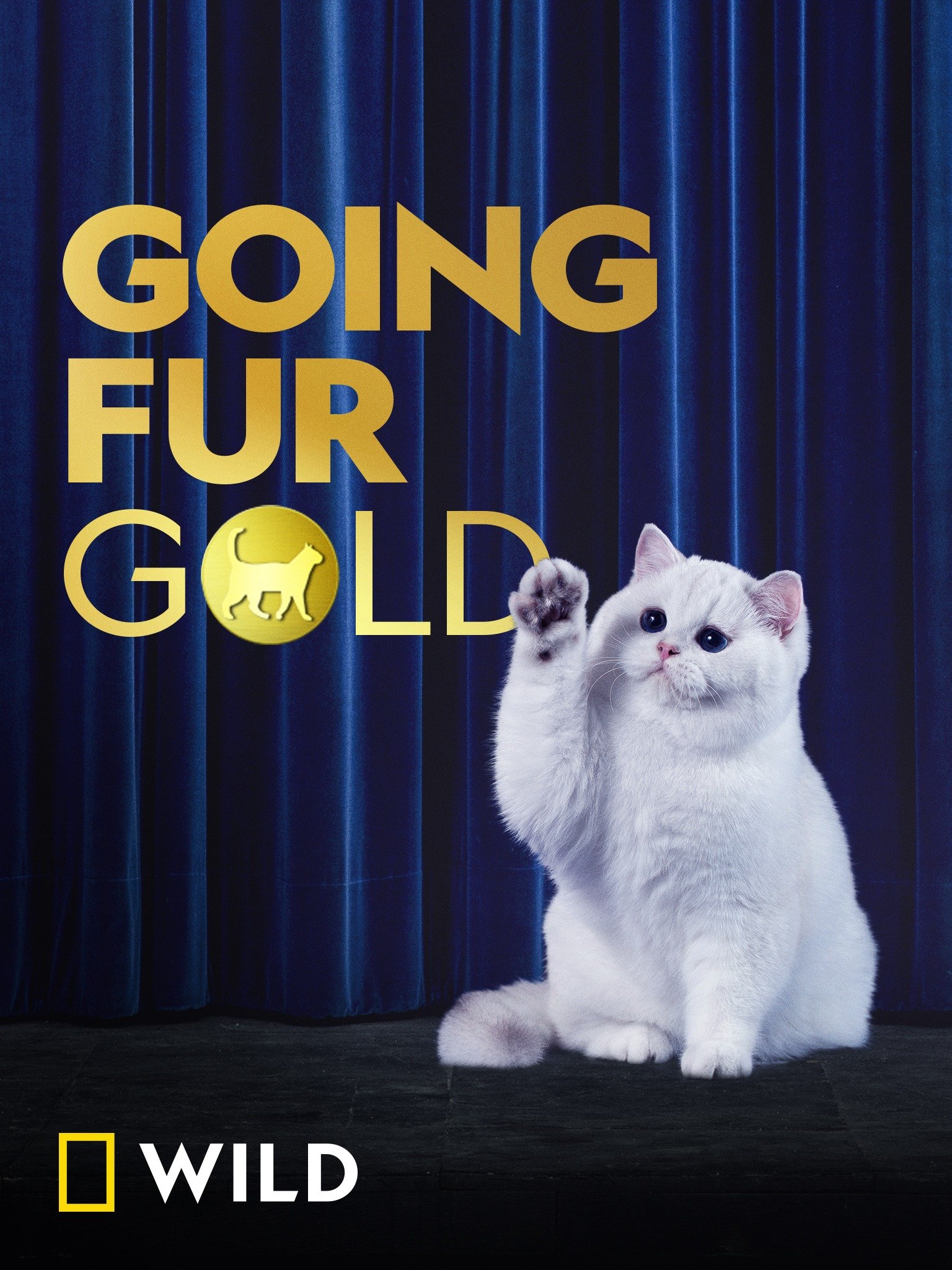Going Fur Gold Rotten Tomatoes