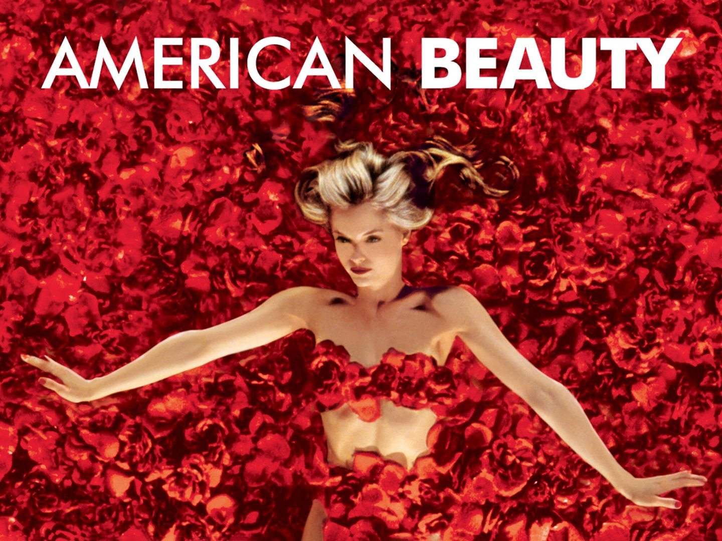 american beauty movie cover