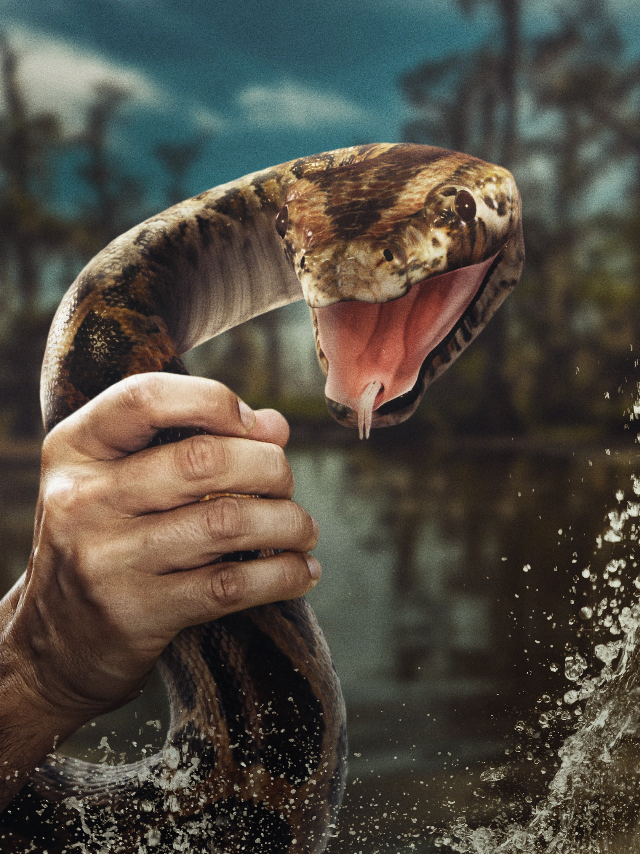 Swamp People: Serpent Invasion - Rotten Tomatoes